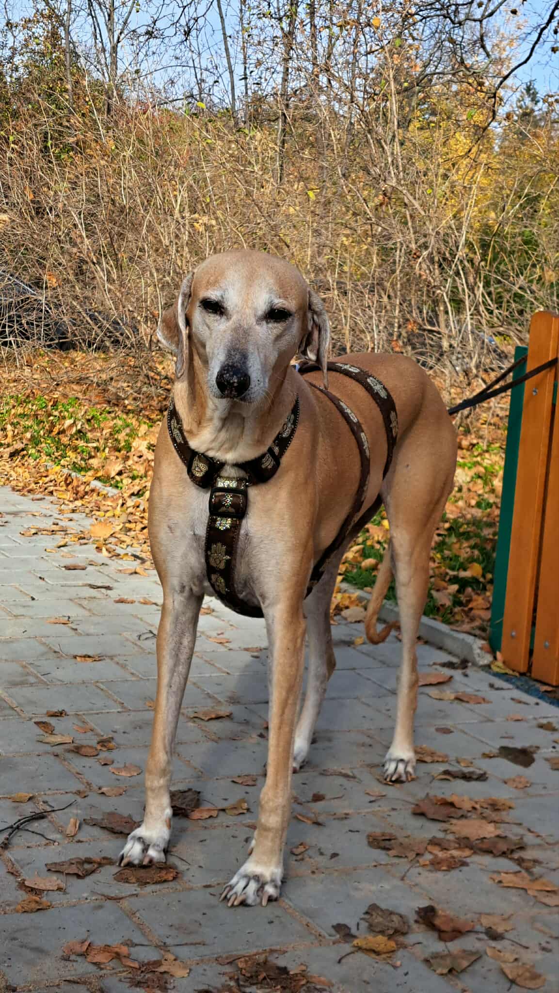 received_840031445639500