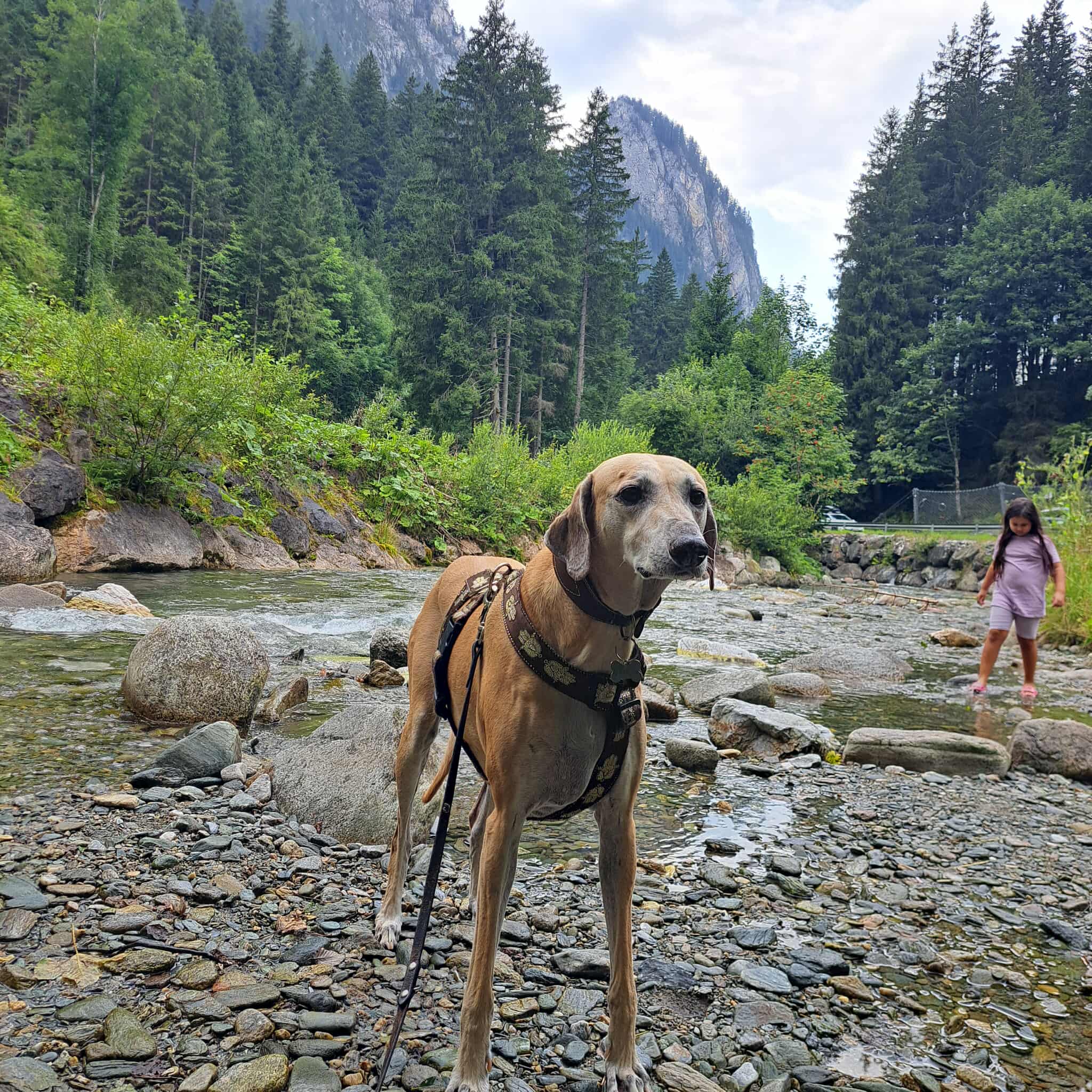 received_775533151529077