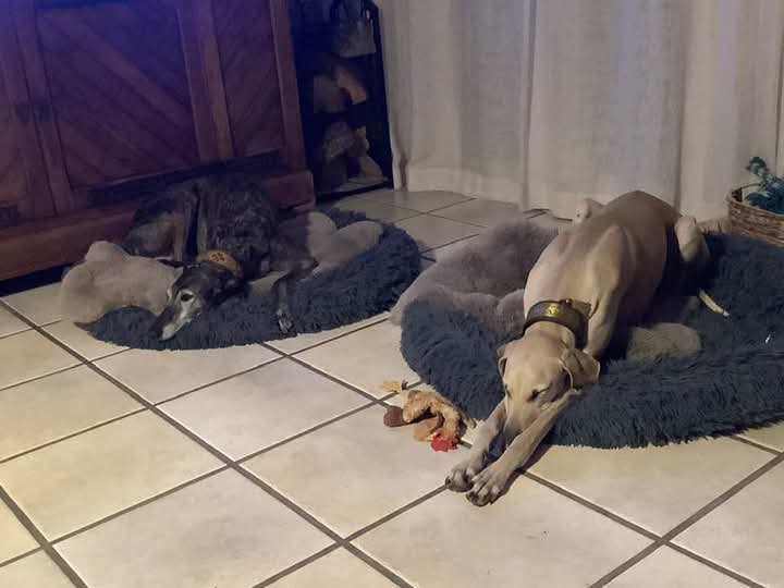 FB_IMG_1762406503262