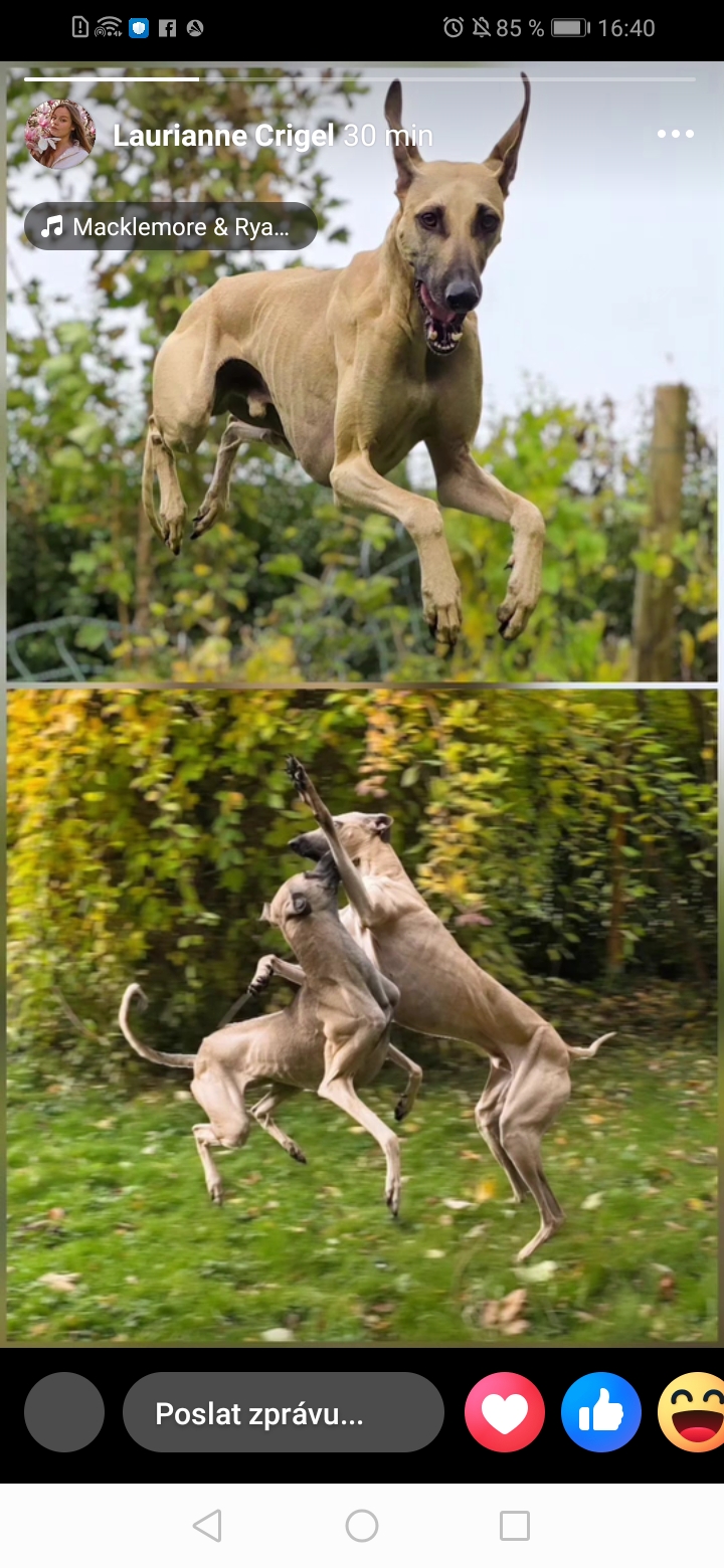 Screenshot_20251029_164058_com.facebook.katana