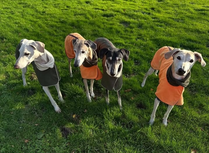 Screenshot_20251116_064505