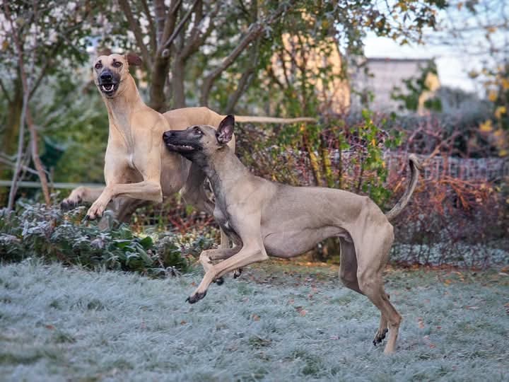 FB_IMG_1763837521598