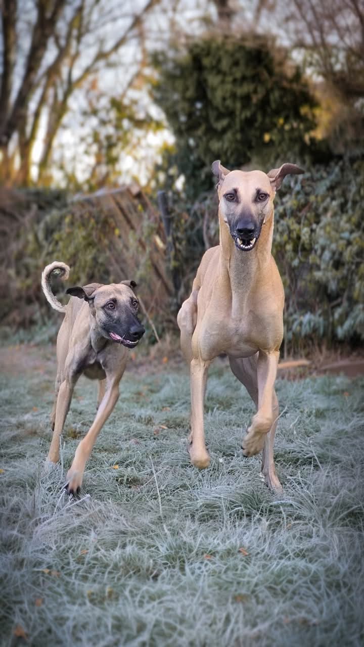 FB_IMG_1763837516762