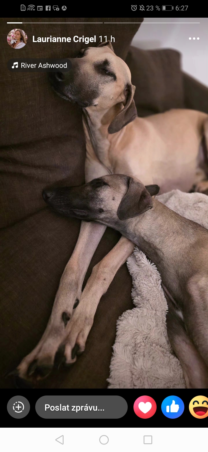 Screenshot_20251028_062701_com.facebook.katana