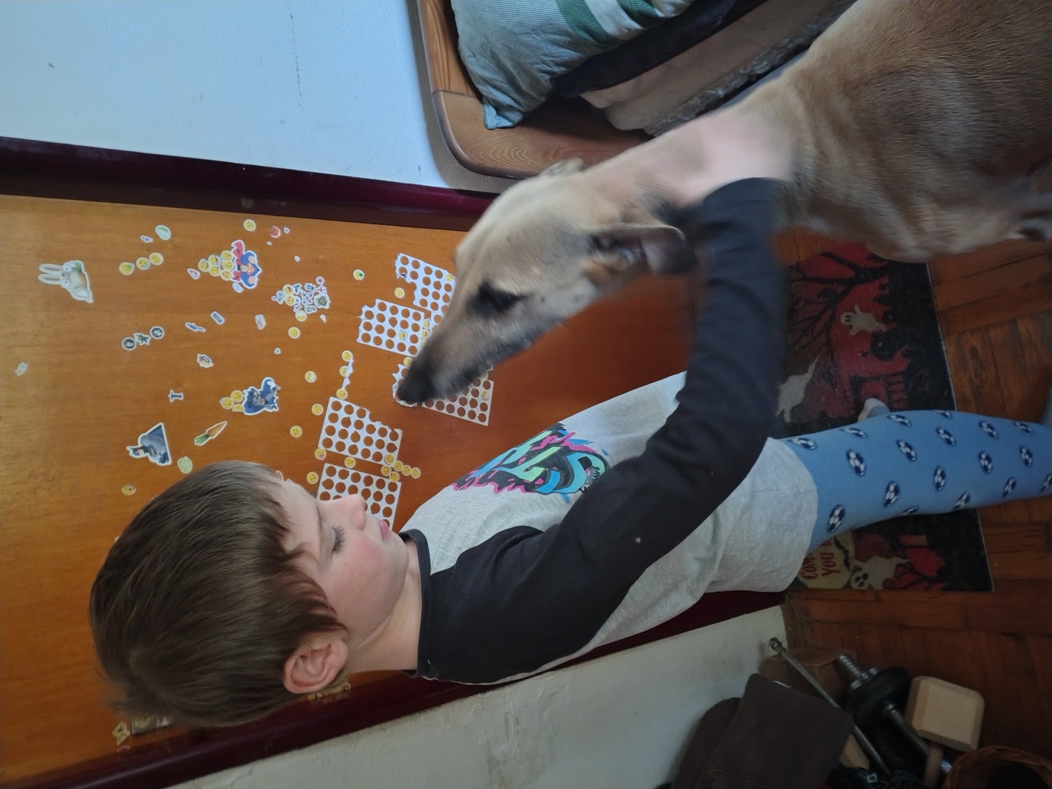 Messenger_creation_6EE1A90A-6D79-4656-9268-D41B656846C1