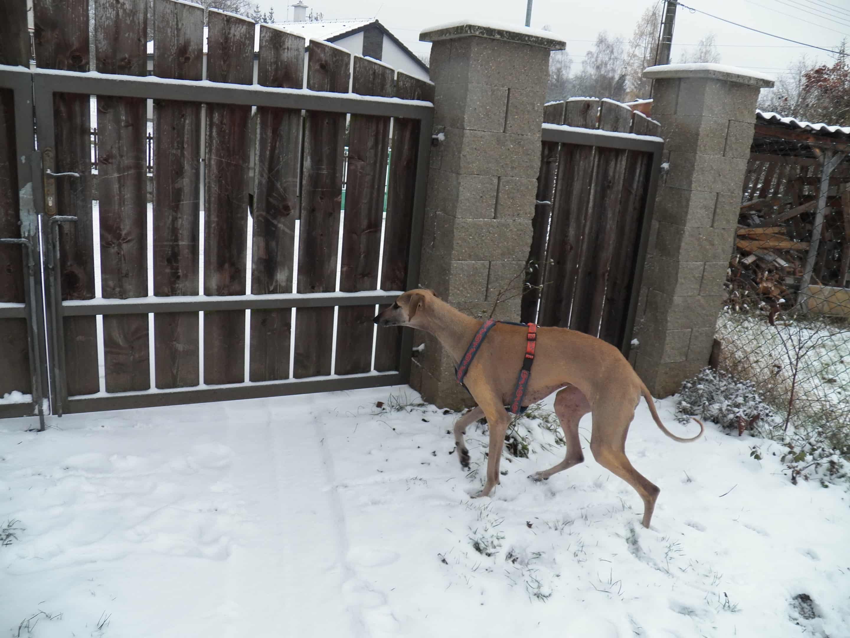 Messenger_creation_DBDFDE23-B55C-400C-9996-7A835A78F4B5