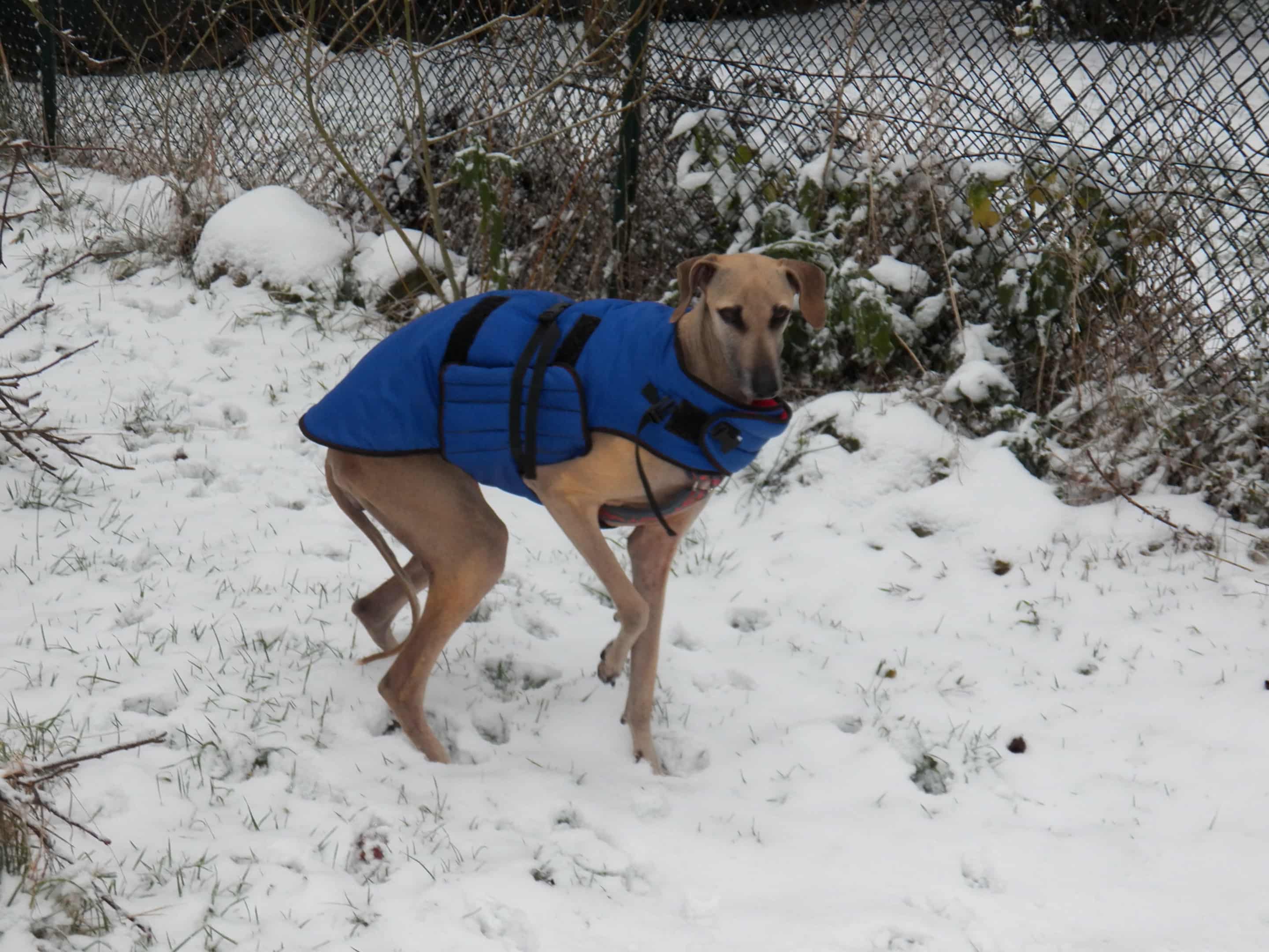 Messenger_creation_27CB00D5-880B-46D9-ACD3-E46DC8DD5F7C