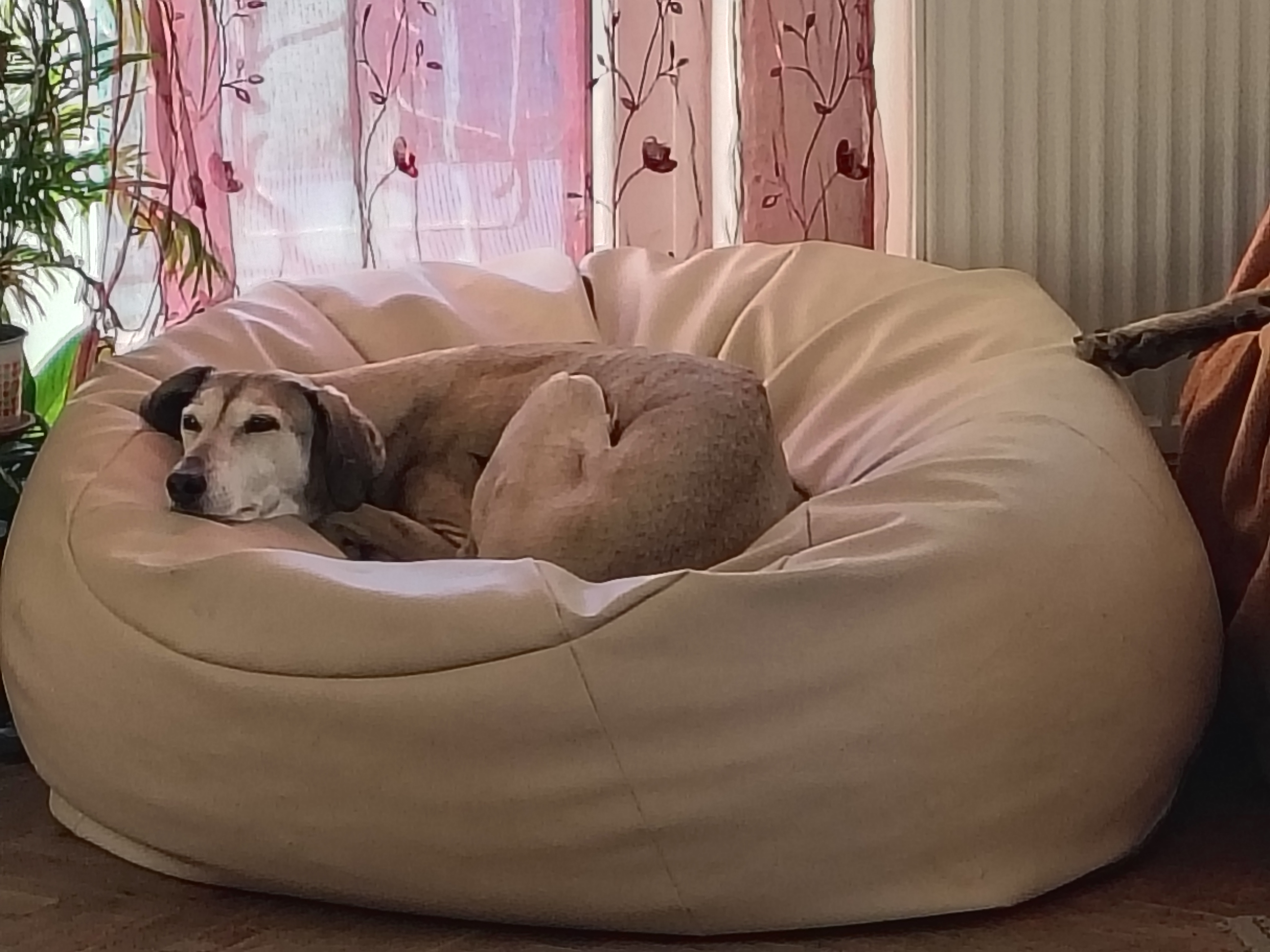 IMG_20251122_133644105_HDR