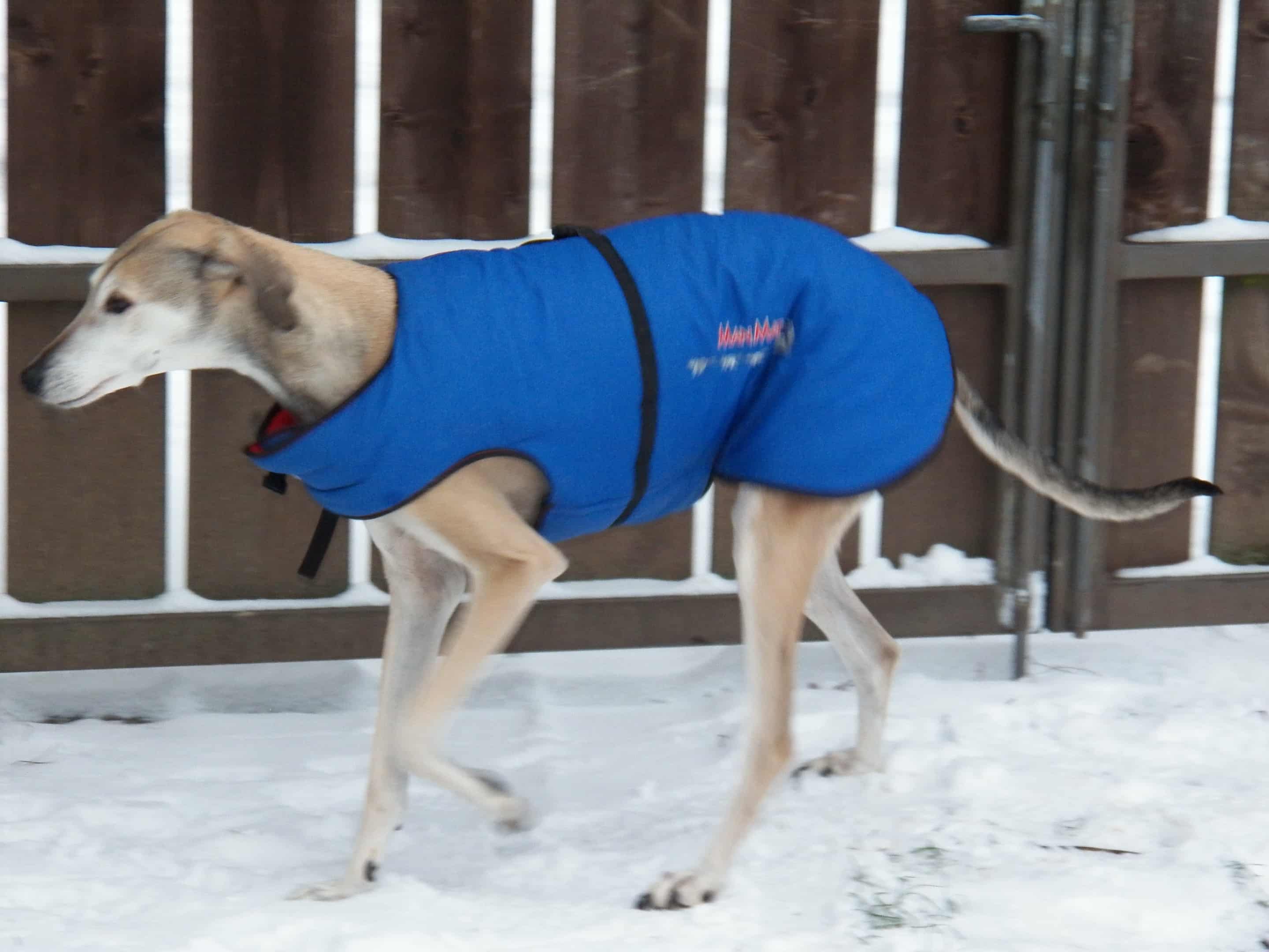 Messenger_creation_3D8E4115-B48C-4696-808C-CDD752B0A7F6