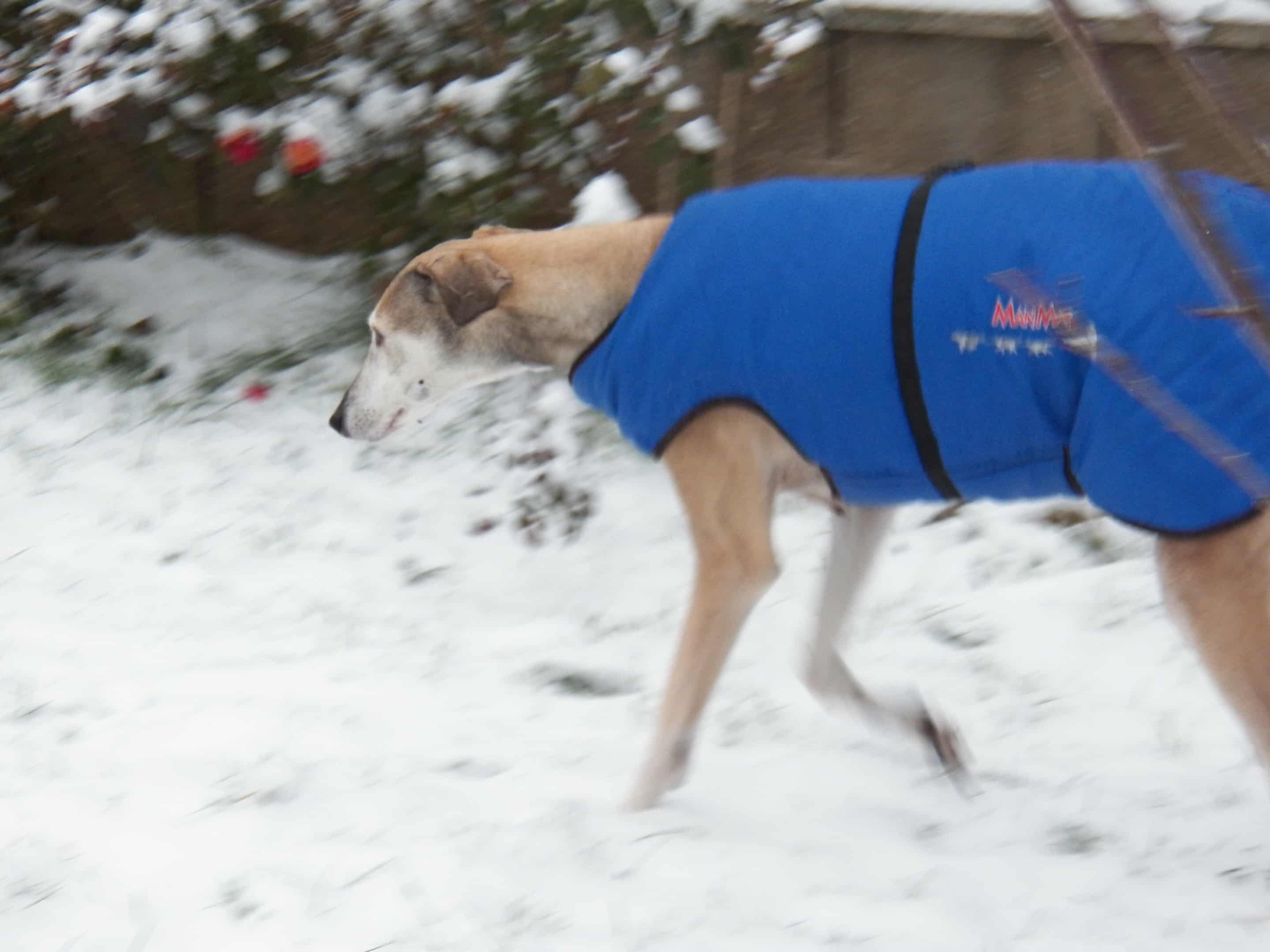 Messenger_creation_211077A1-3509-4D79-80AF-BC0FCF0A624E