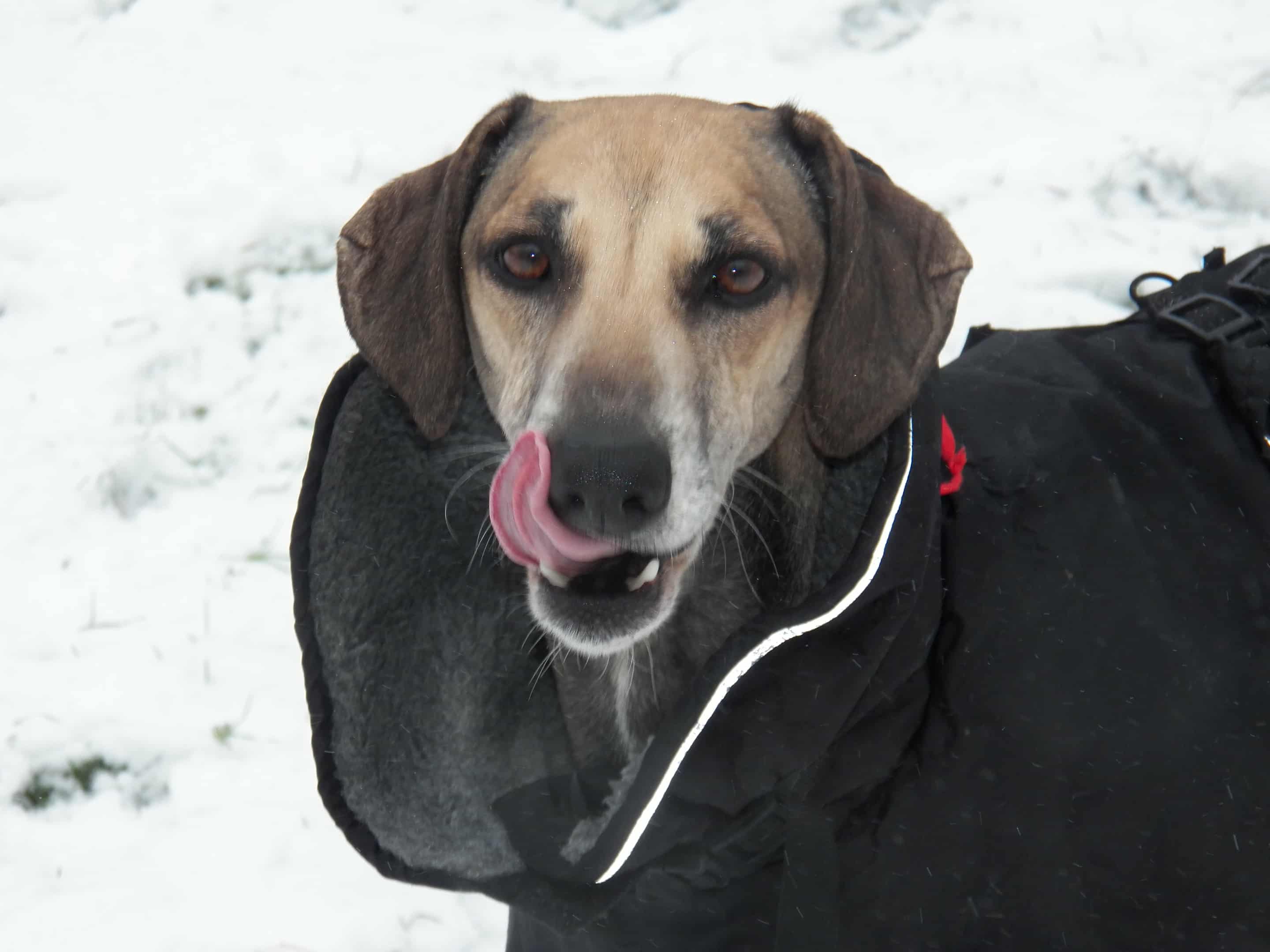 Messenger_creation_40C8FCD9-8F13-4AE3-90B3-B2FBD7CD5567