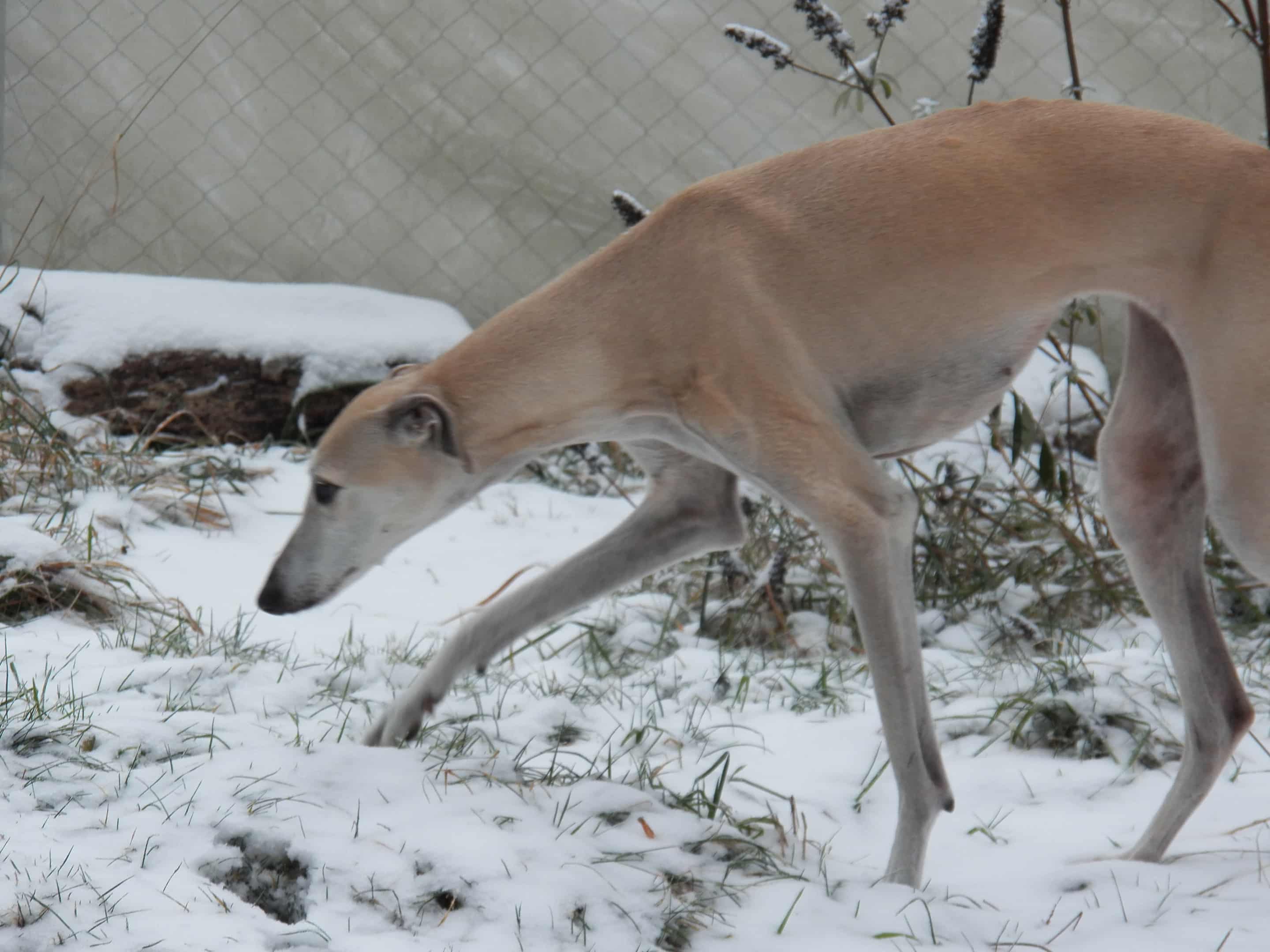 Messenger_creation_F2BF6B38-27F6-4A3C-B8D5-C8DEC1A6A505