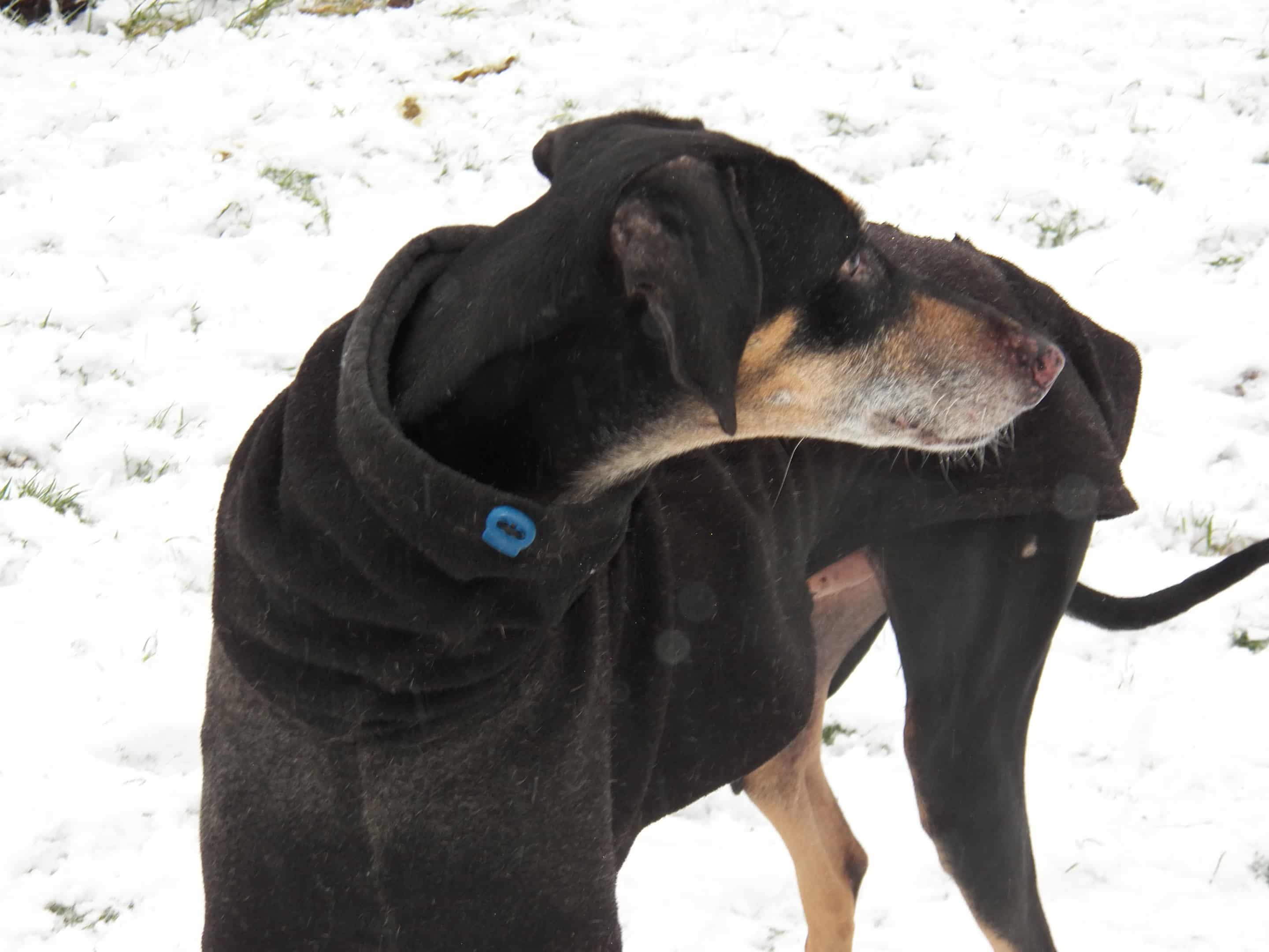 Messenger_creation_58403508-A92C-45F9-BC5C-384ECA61B736