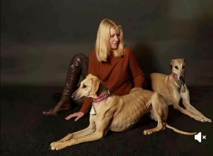 Screenshot_20251211_214442