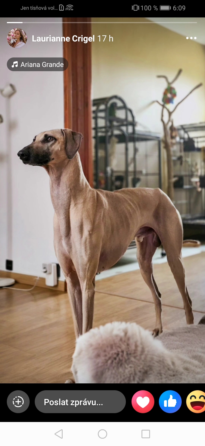 Screenshot_20251208_060951_com.facebook.katana