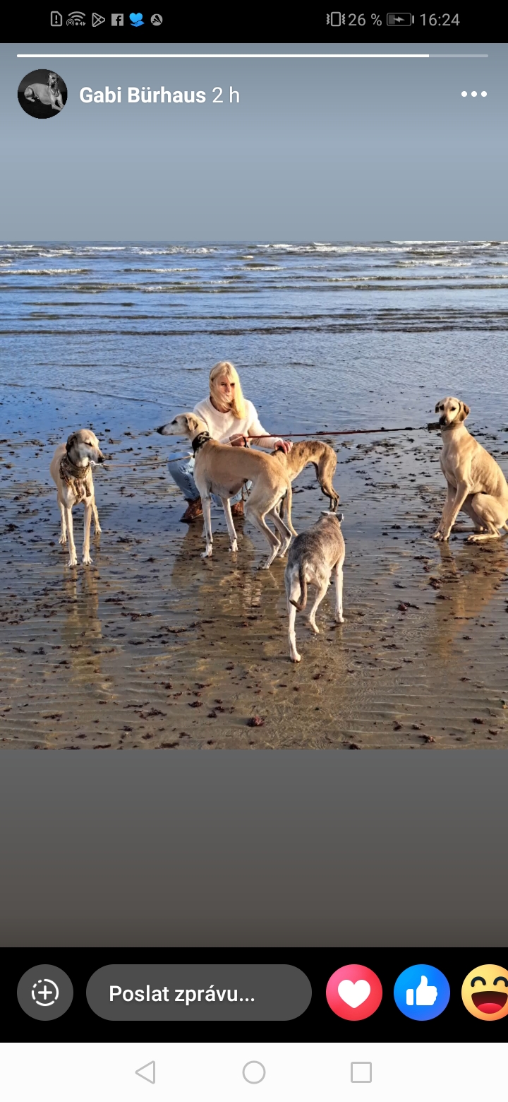 Screenshot_20251207_162422_com.facebook.katana