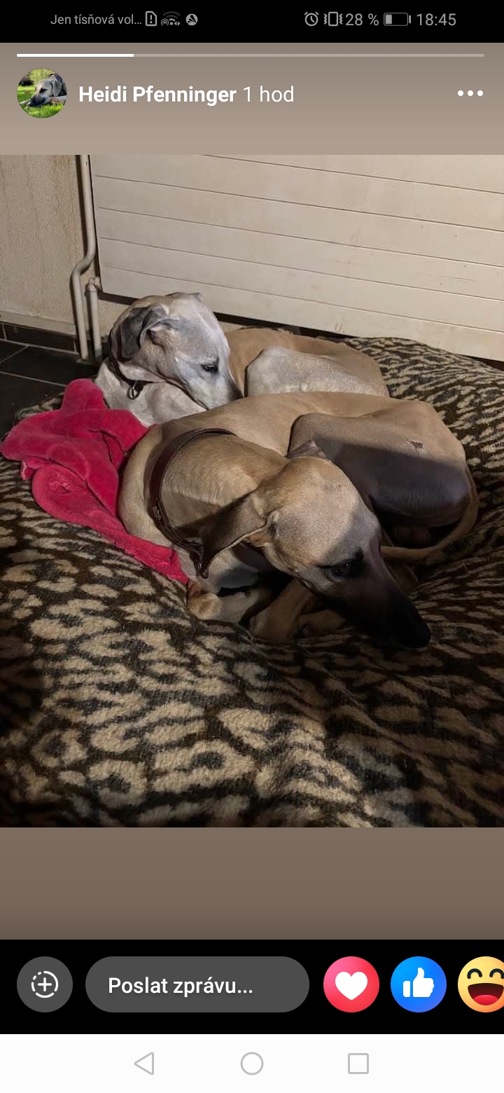 Screenshot_20251206_184518_com.facebook.katana