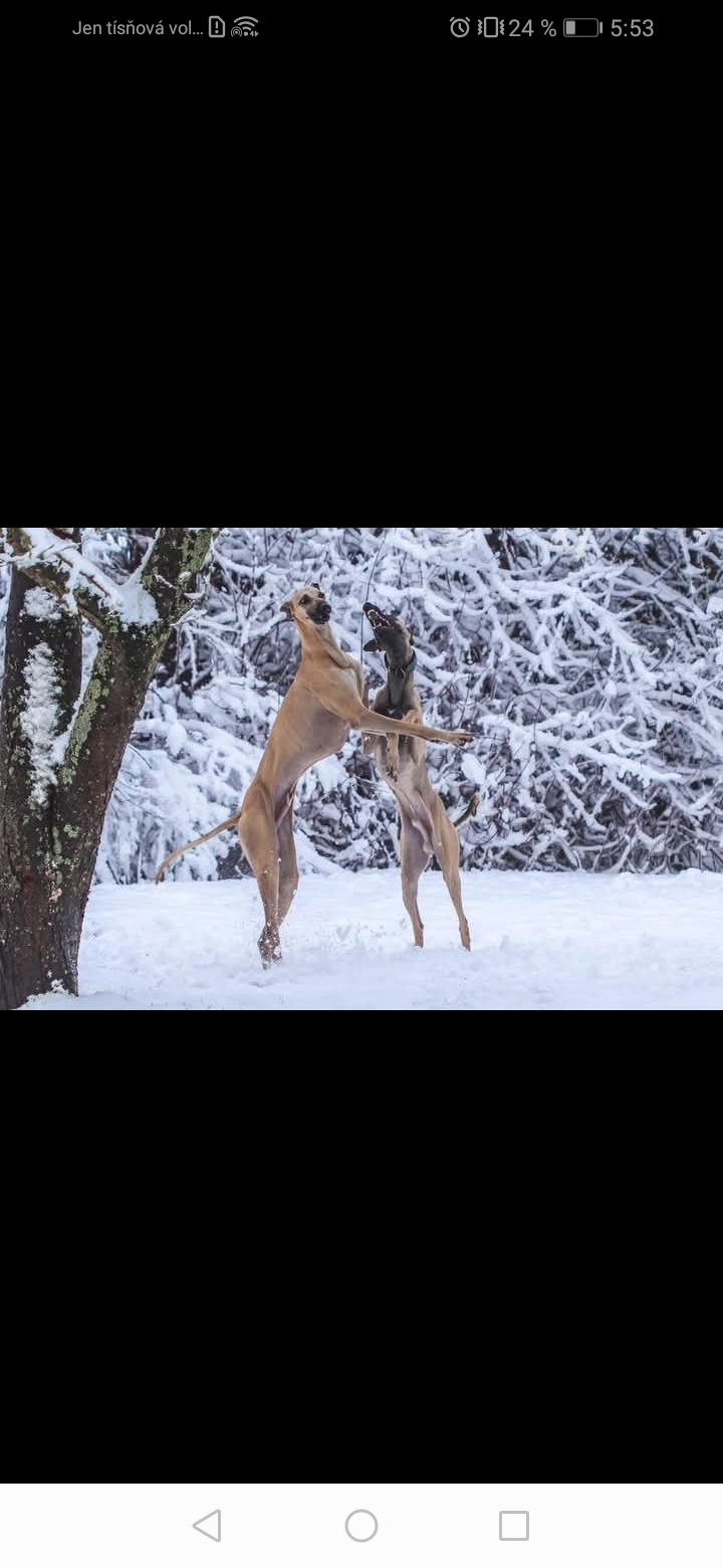 Screenshot_20251201_055351_com.facebook.katana