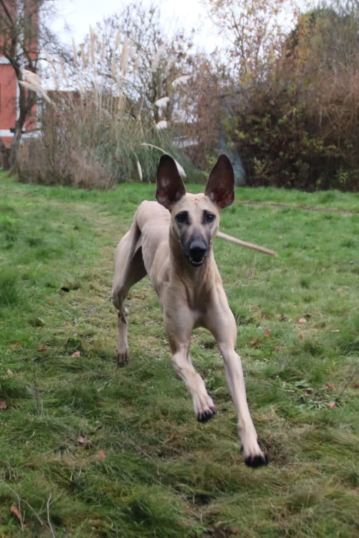 FB_IMG_1764824904440