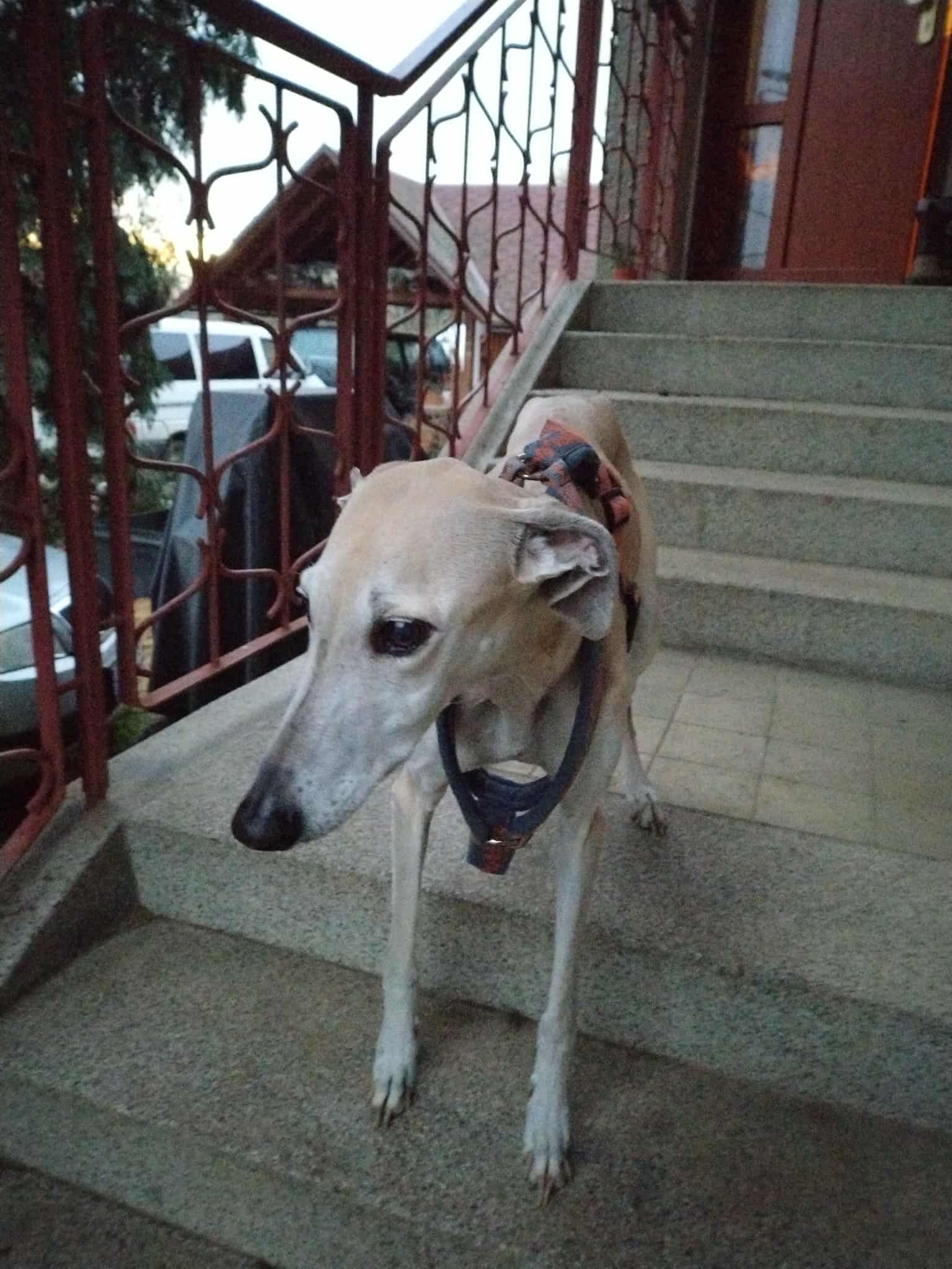 Messenger_creation_FD83B080-6D2B-4E95-8C95-45260302BE86