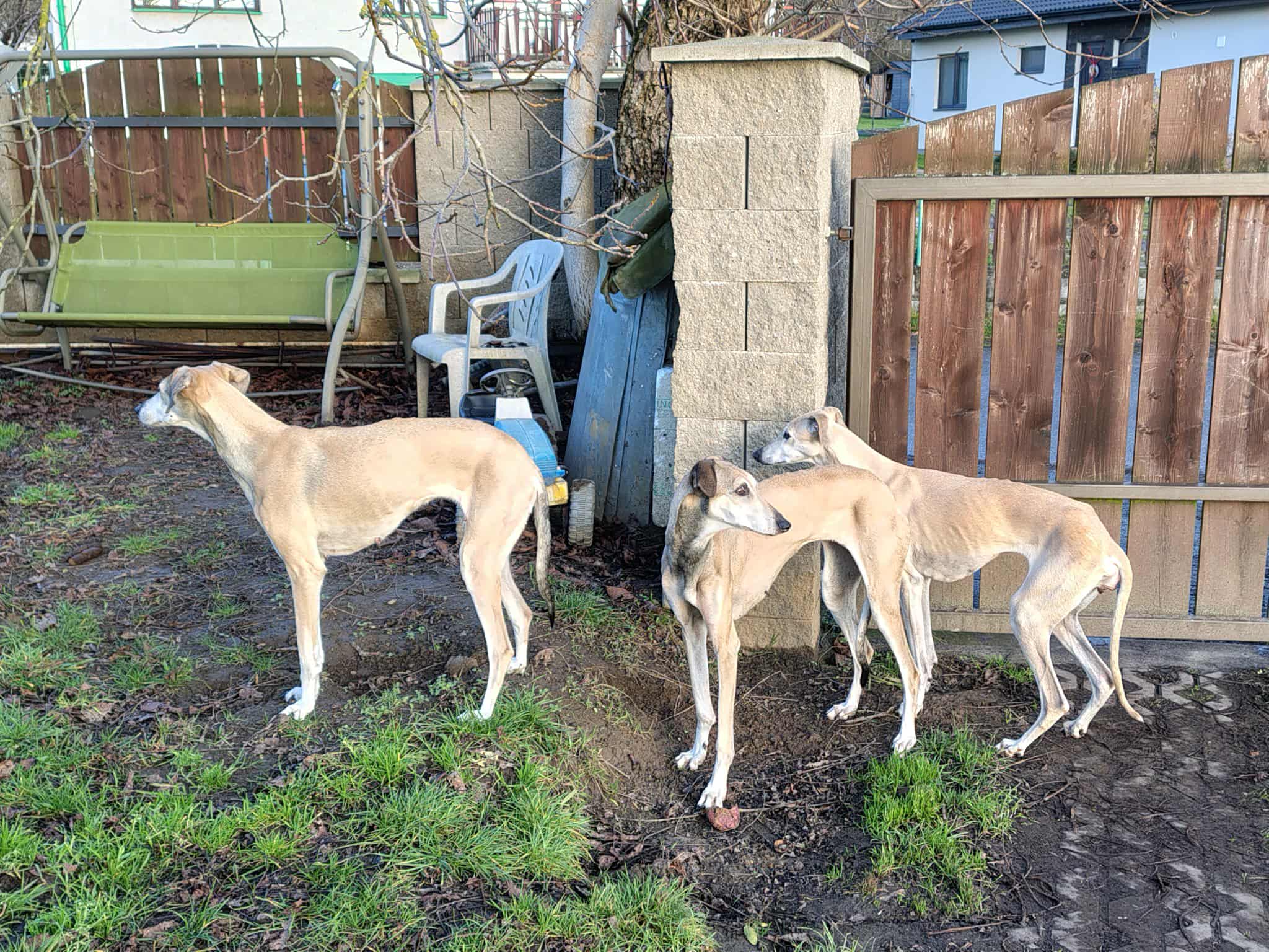 Messenger_creation_F48C4AA4-56AC-4135-9CF2-2E021EF35DF9