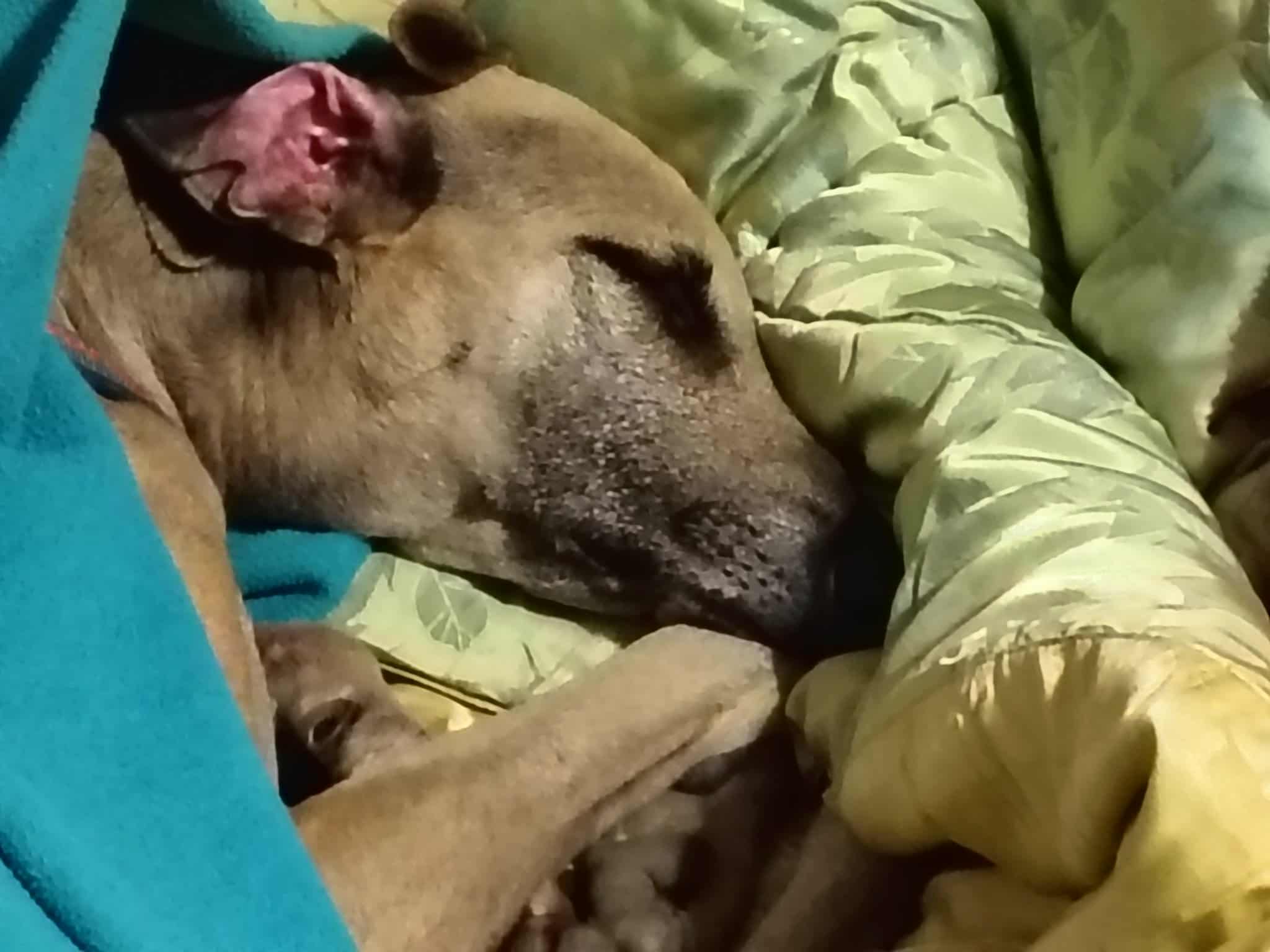 Messenger_creation_59CD6C78-2A43-4D34-94FA-95D6574E0767