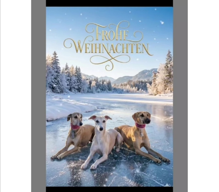 Screenshot_20251221_235803