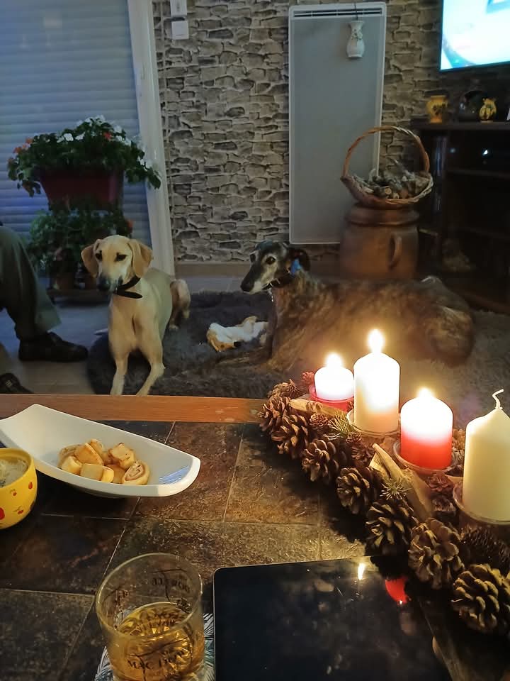 FB_IMG_1765738670277