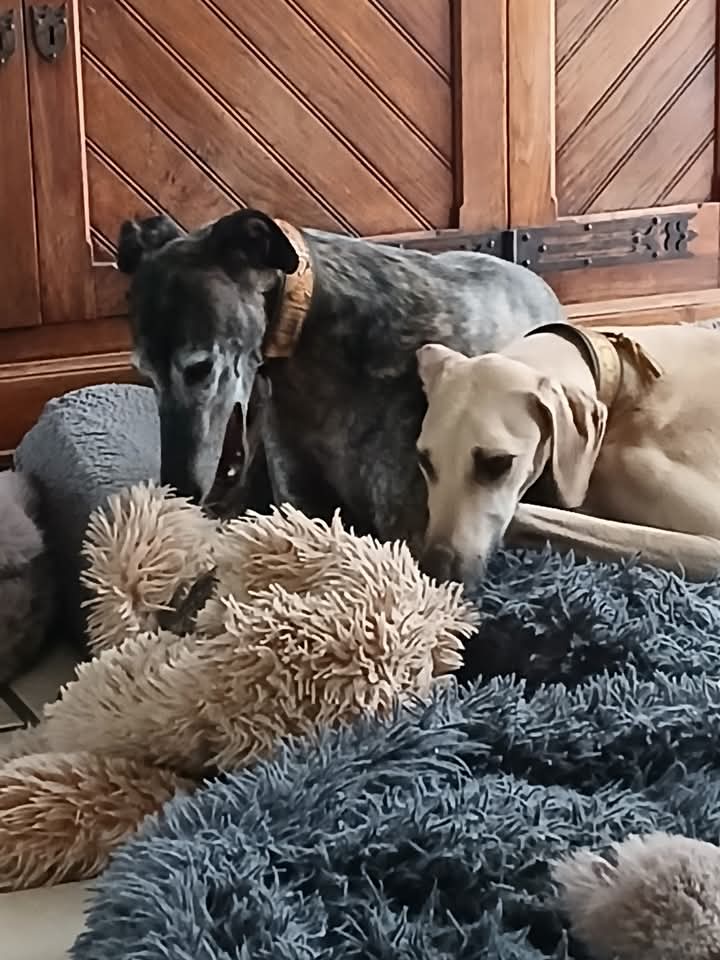 FB_IMG_1766826477744