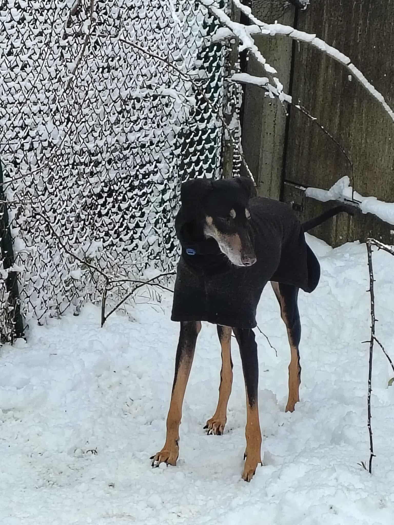 received_1264802185477370