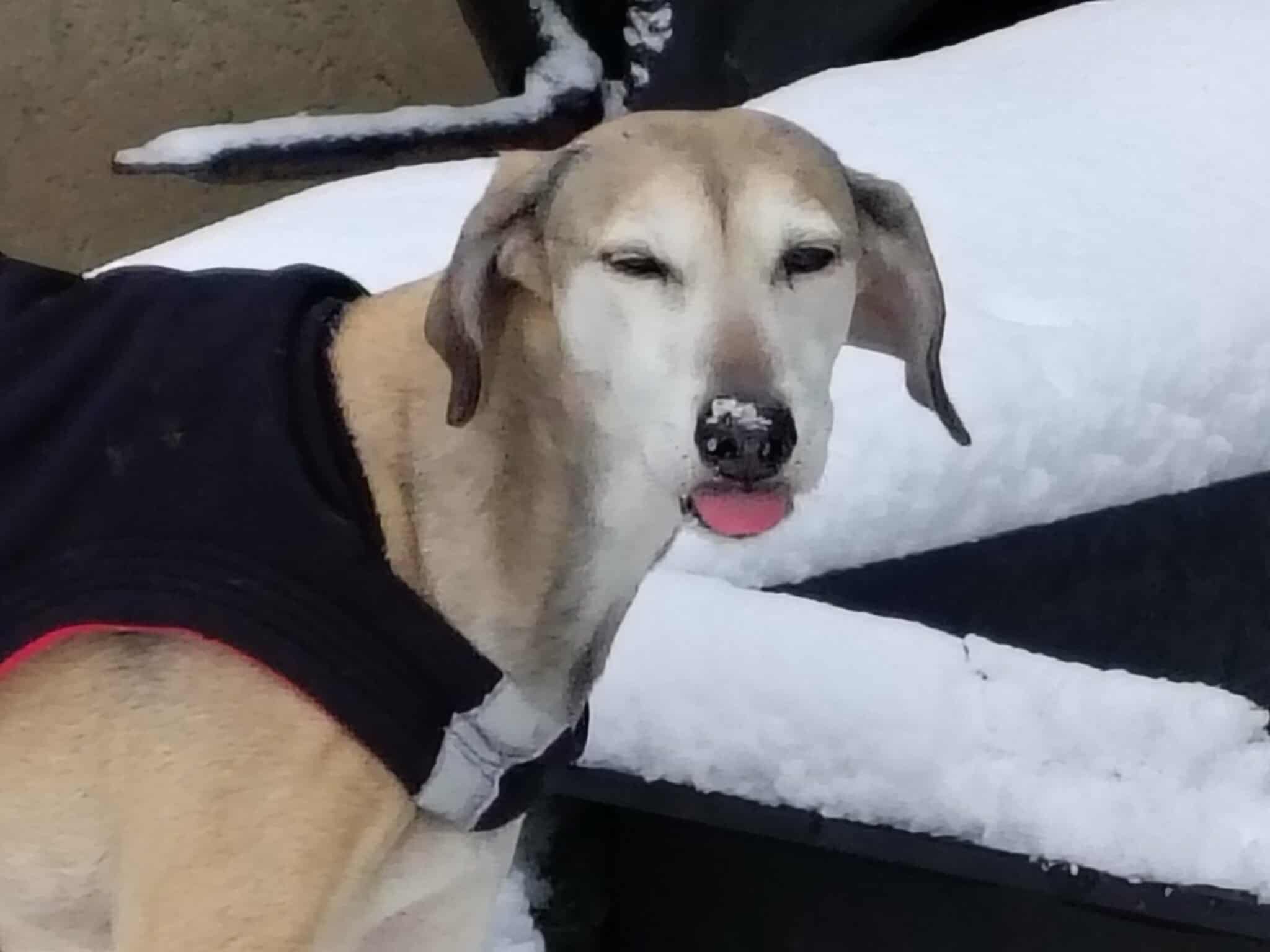 received_1355798455780309