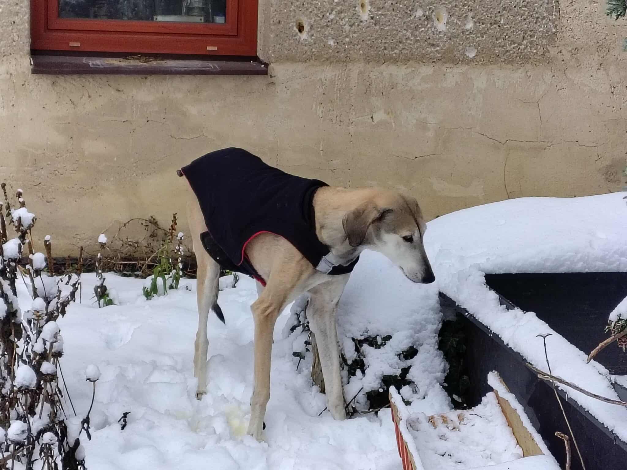 received_1573068140598445