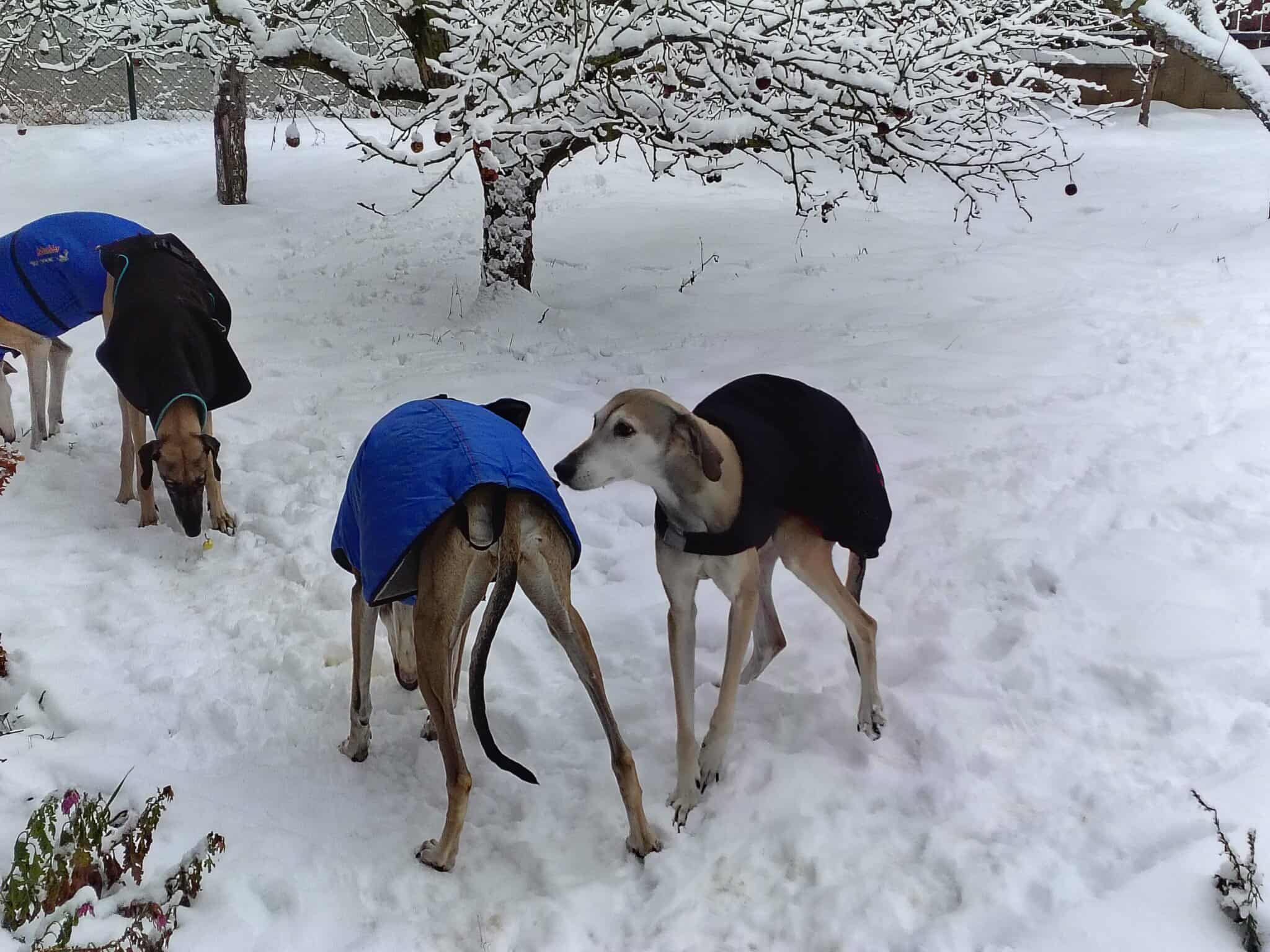 received_1241064951261220