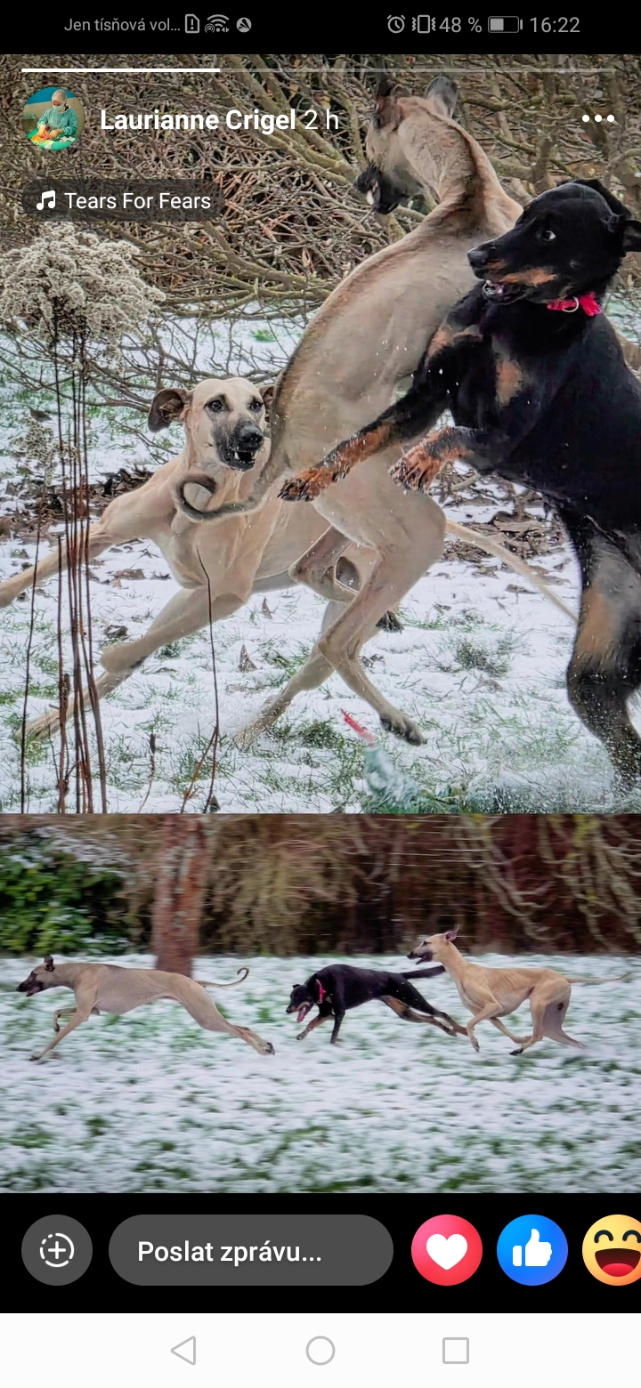 Screenshot_20260105_162243_com.facebook.katana