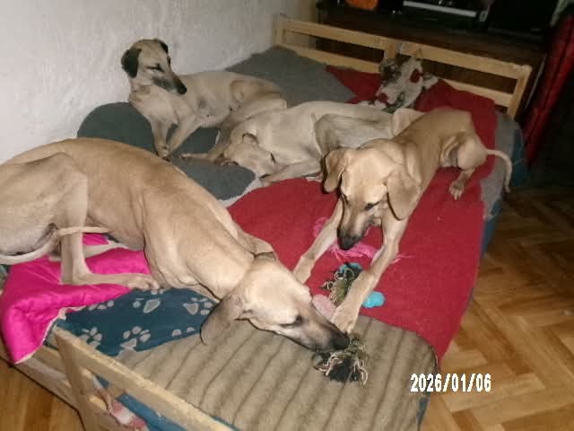 FB_IMG_1767713869916