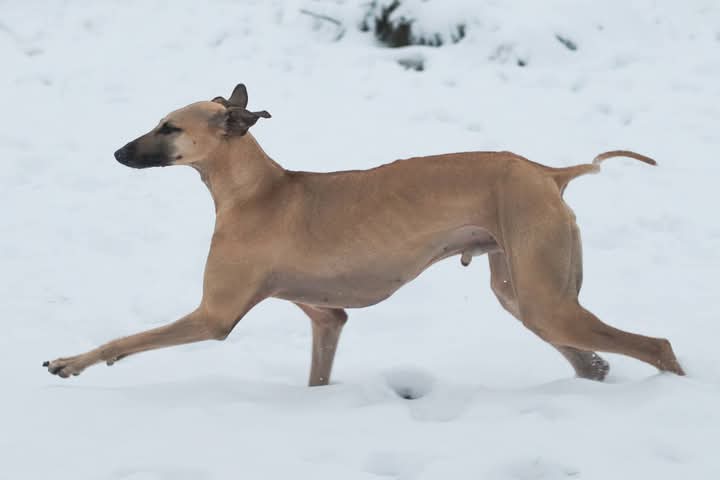 FB_IMG_1768067448528