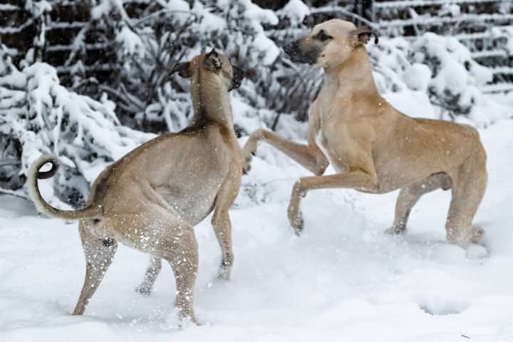 FB_IMG_1768067443663