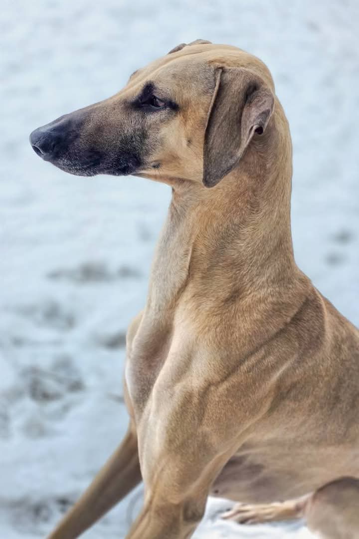 FB_IMG_1767720511105