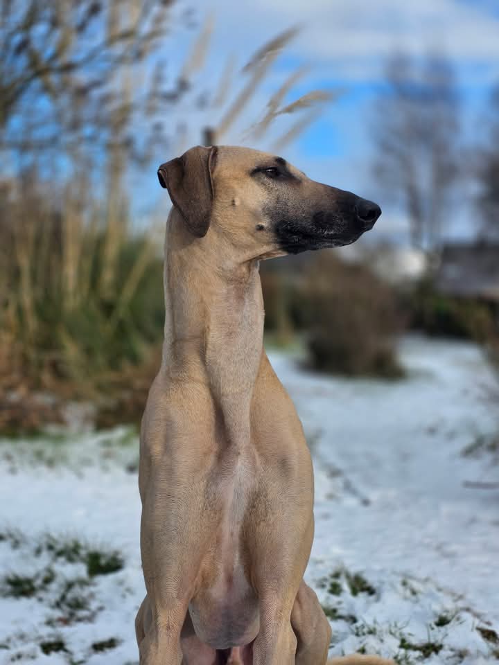 FB_IMG_1767725765180