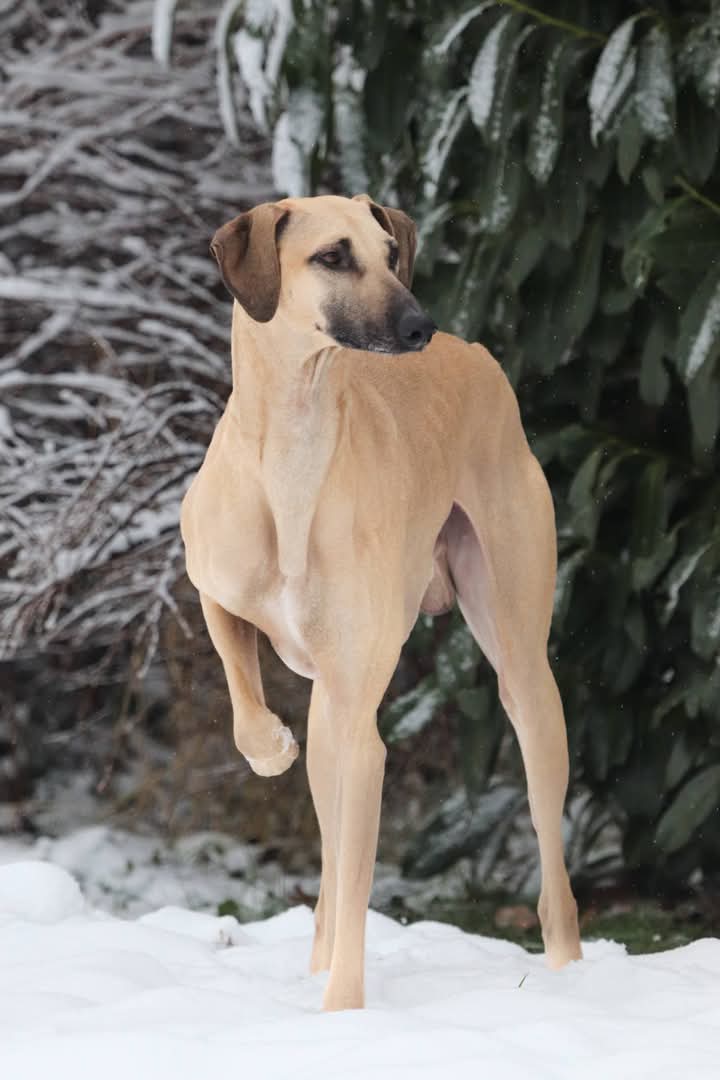 FB_IMG_1768067440600