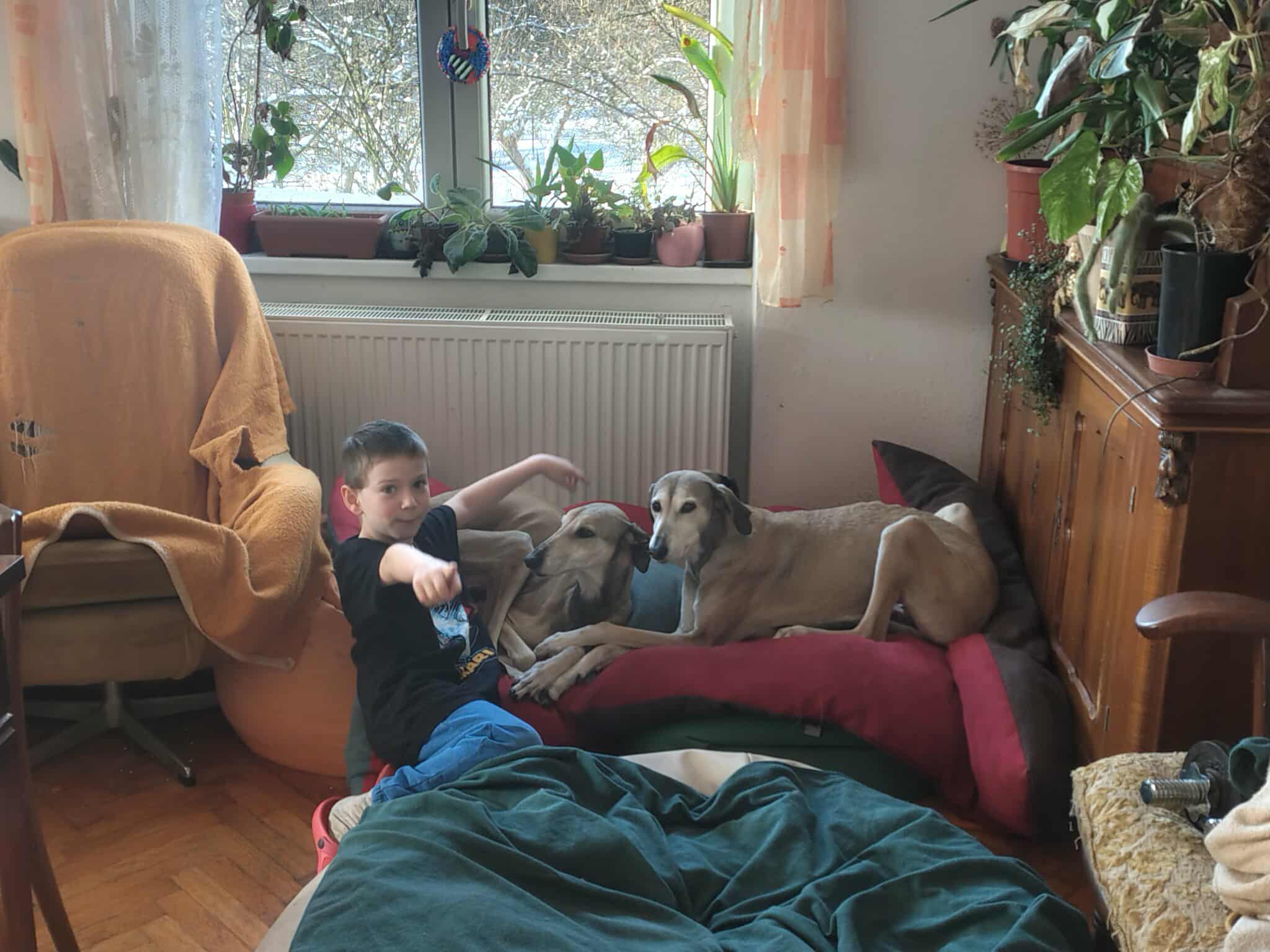 received_1204952205154881