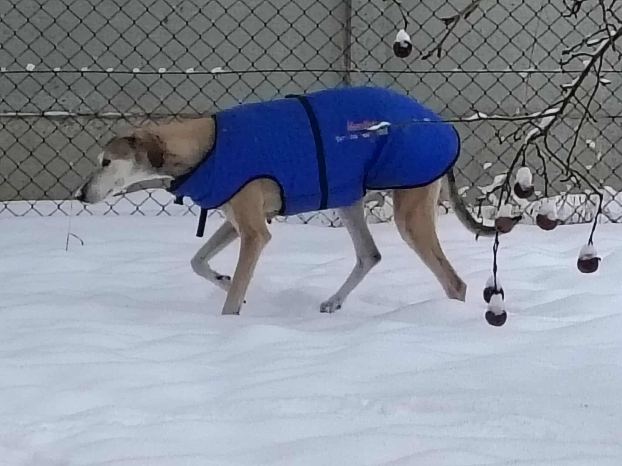 received_2305974153245610