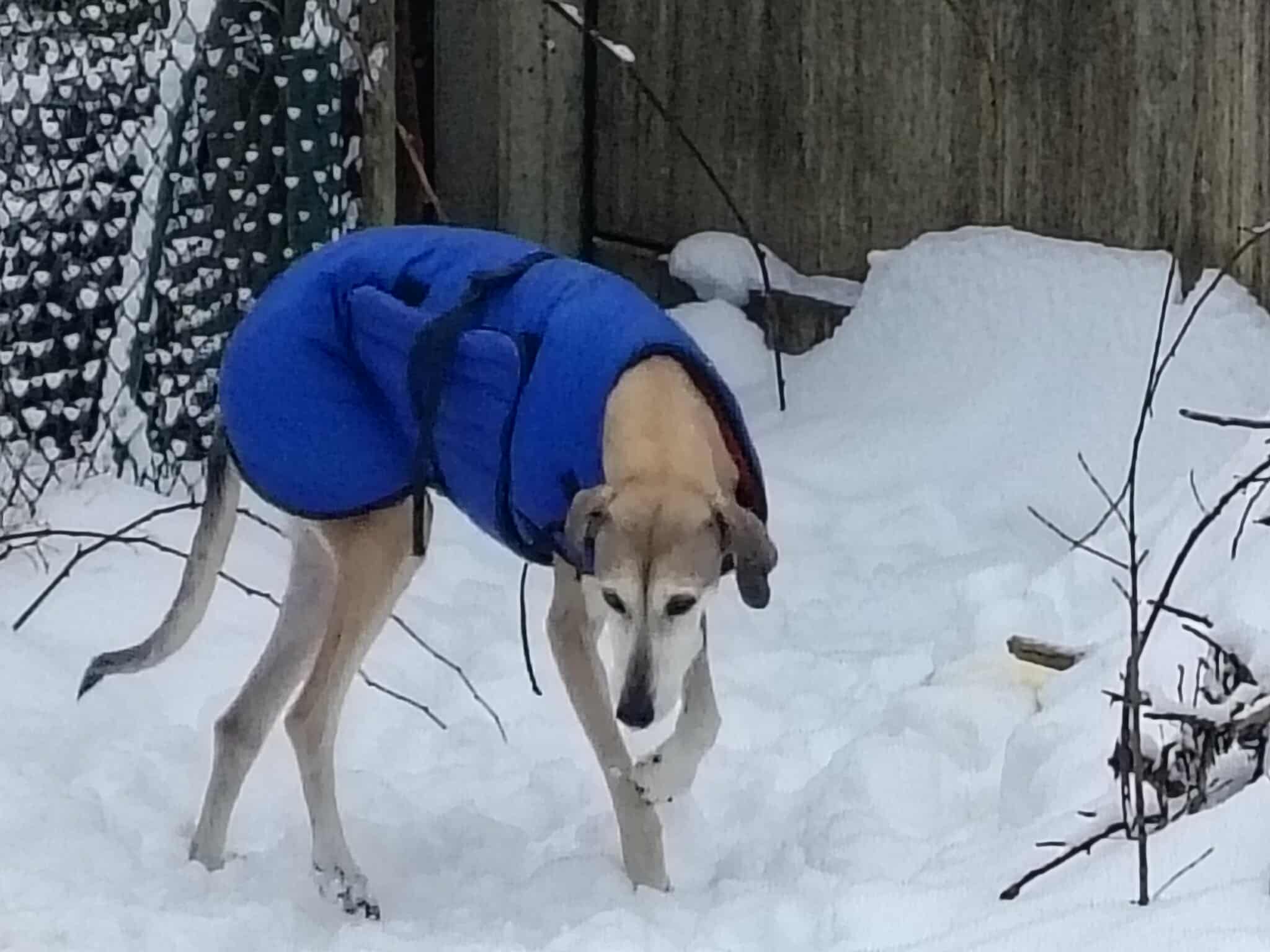 received_2318887251966427