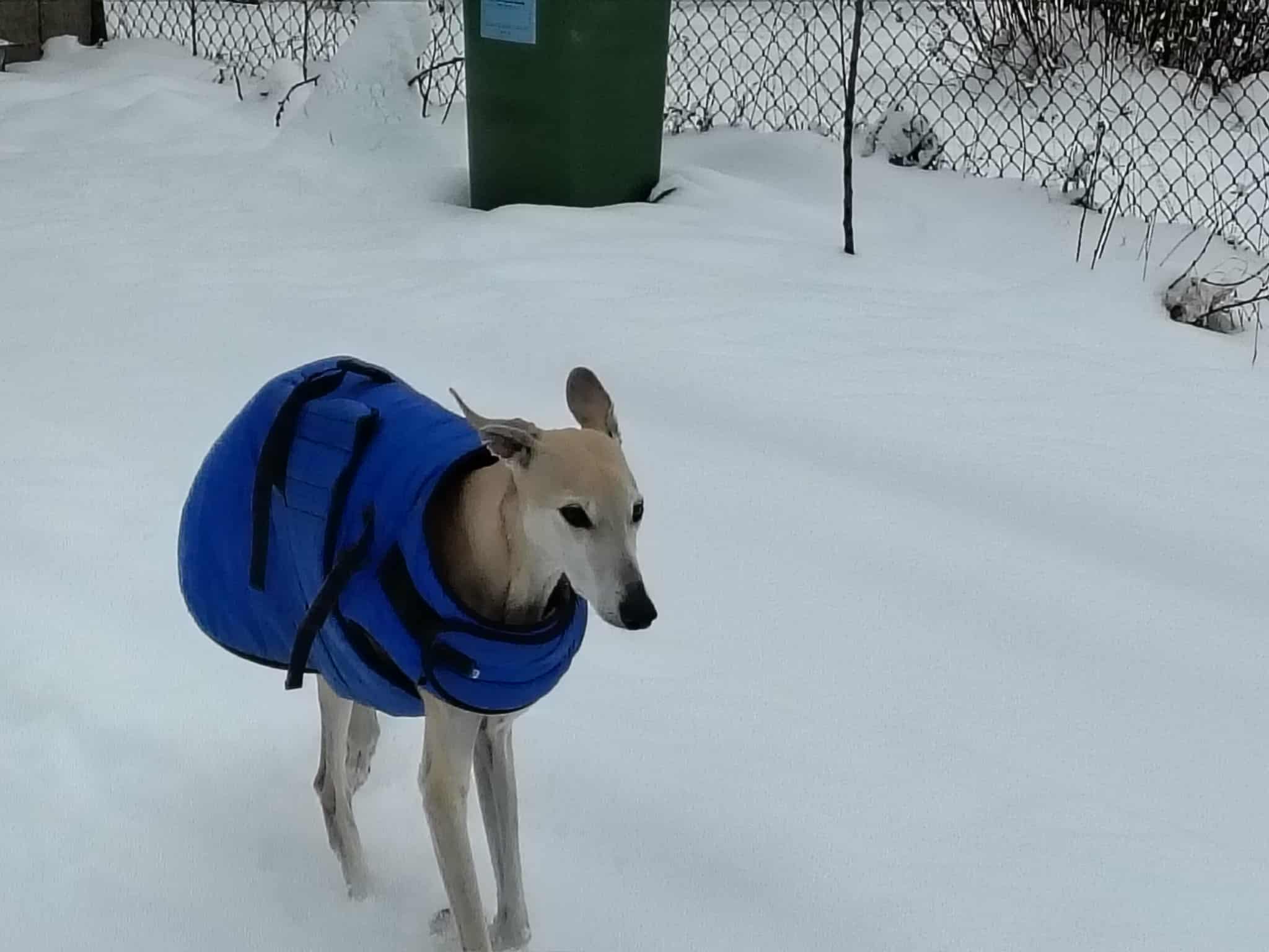 Messenger_creation_D7DA2F28-D4EC-47AE-9316-6FDEC35B24FA