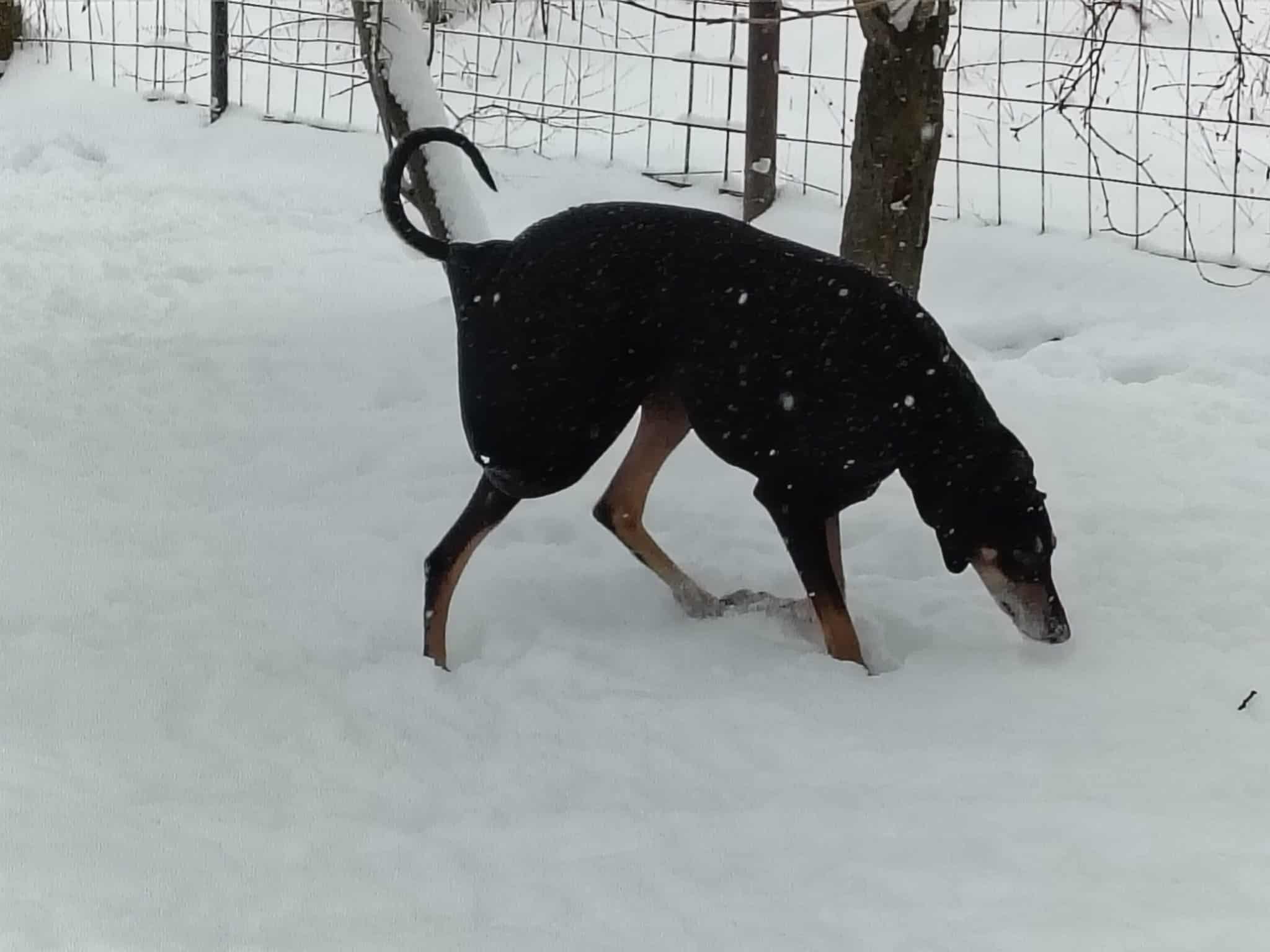 Messenger_creation_AE50B36D-DDBC-4425-BAF5-F521C6A3AEB8