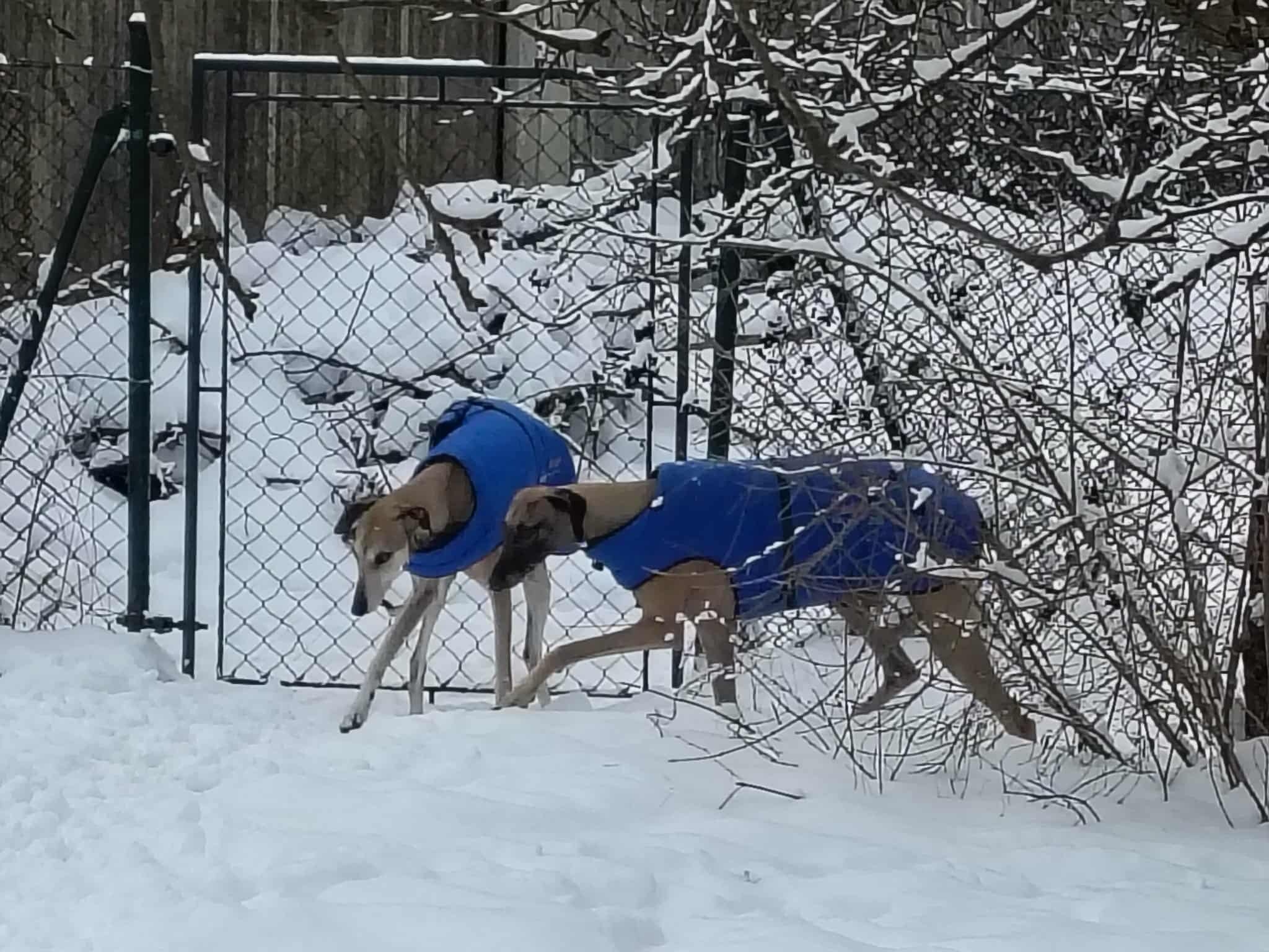 Messenger_creation_2165739E-8381-44D7-BB73-8CB87CF58B64