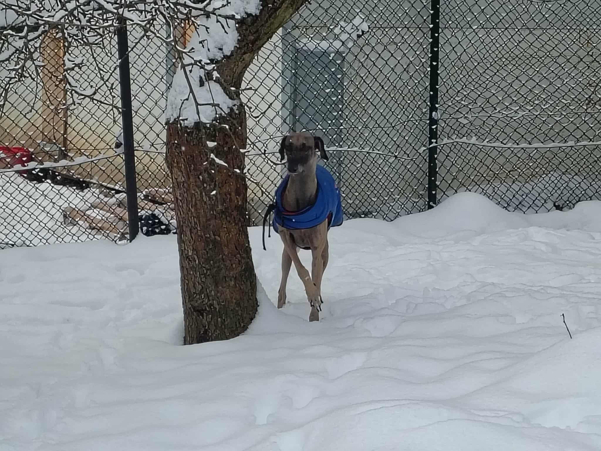 Messenger_creation_AD48BE4E-DCF3-457B-BE08-2D1D86C8443F