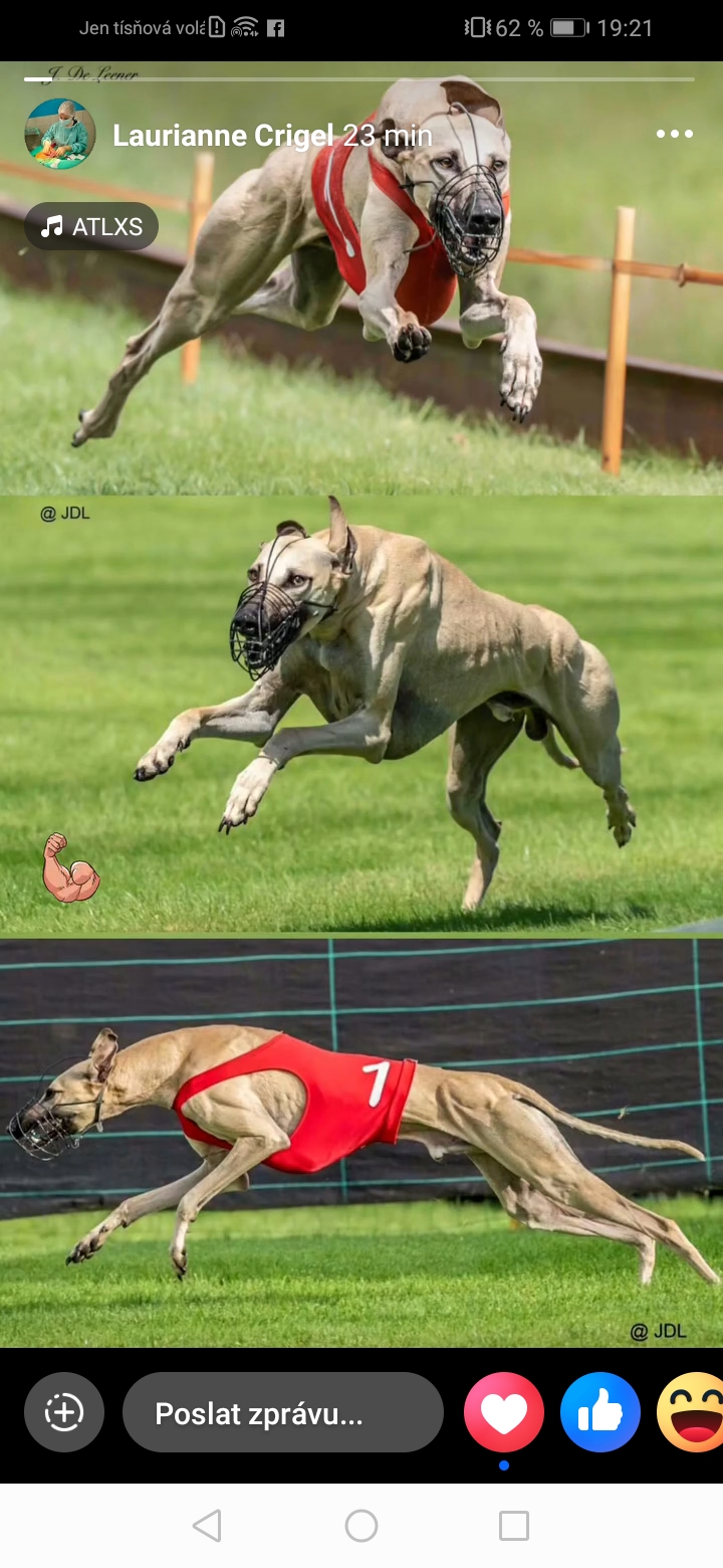 Screenshot_20260116_192101_com.facebook.katana