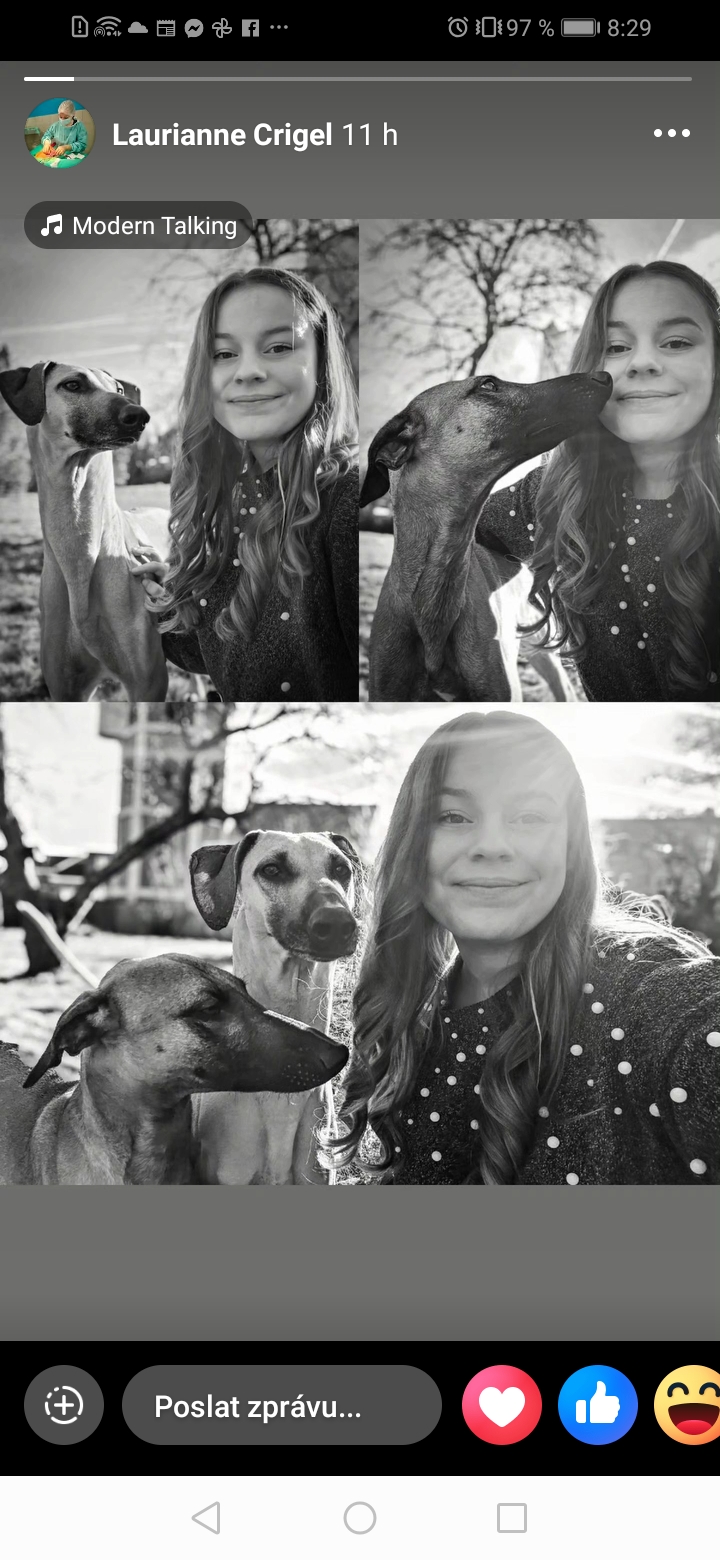 Screenshot_20260118_082947_com.facebook.katana