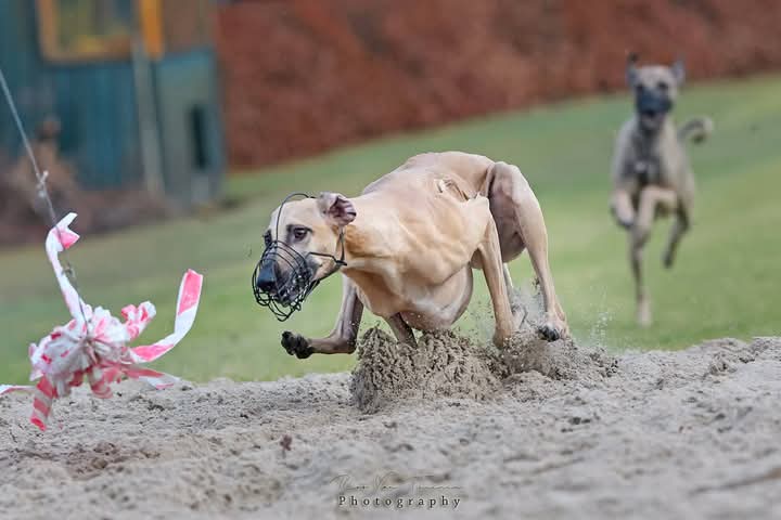 FB_IMG_1770182476710